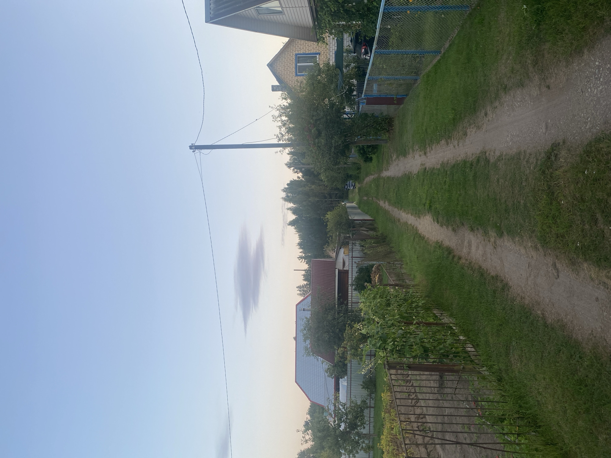 The image shows a dirt road in a rural area, likely a village or dacha community, with houses and fences on either side. The road is flanked by green grass and vegetation. On the left, there is a metal fence bordering a cultivated garden with plants. Further down the road, several houses with different roof styles and colors are visible, interspersed with trees. On the right side, a blue and mesh fence encloses a property with a house constructed of yellow brick. A utility pole with wires stands along the road. In the distance, a car is visible on the road, and a dense line of trees forms the background. The sky is clear and light blue with a faint cloud formation. The overall scene depicts a quiet, residential, and rural environment.