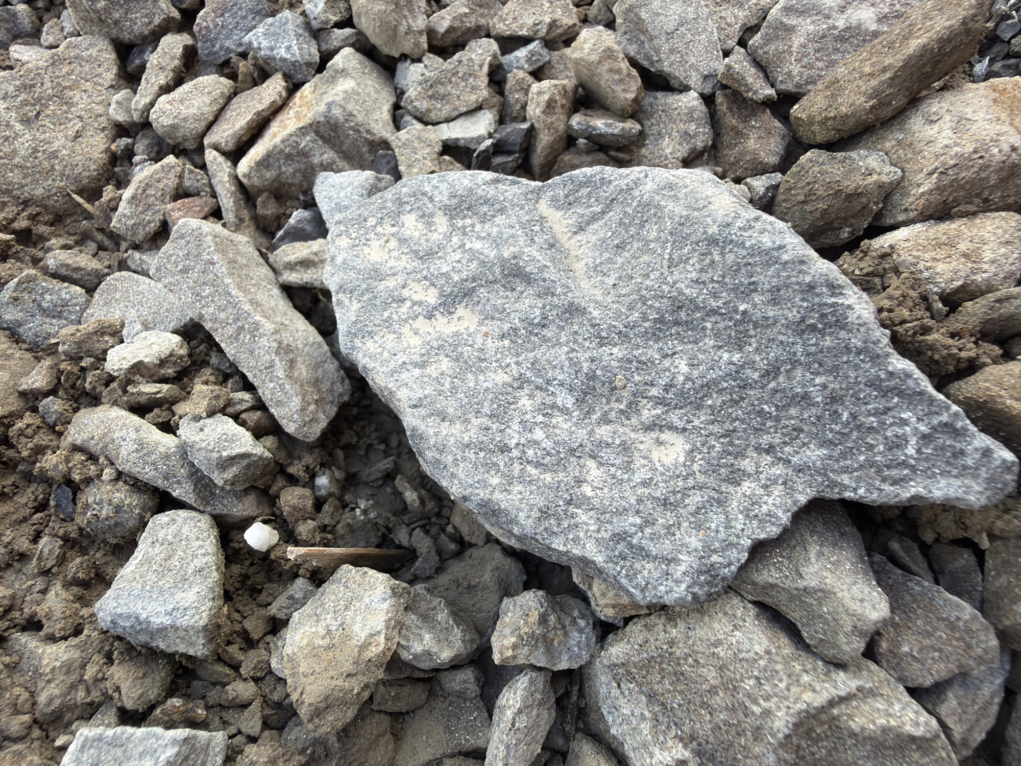 A close-up, top-down view of various sized rocks and dirt. A single white, pebble-sized object is visible protruding from the dirt, supported by a thin, brown twig. The rocks vary in color from light gray to dark brown and are unevenly distributed across the frame. The lighting suggests an outdoor environment, likely during the day. The image does not depict any people or specific urban features that would indicate a location within the city of Męcina, Poland.