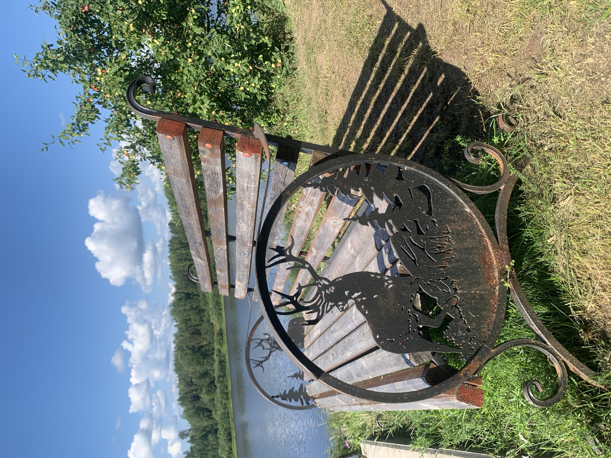 The image shows a wooden park bench with decorative metalwork featuring a deer and pine trees. The bench is situated on a grassy area next to a body of water, likely a river or lake. In the background, a dense forest lines the far bank of the water, under a bright blue sky with scattered white clouds. To the right of the bench, a tree laden with small fruits, possibly apples or berries, is visible. The scene is bathed in sunlight, casting shadows from the bench onto the dry grass. The location is identified as Churilovka, Russia. There are no people or animals present in the image.