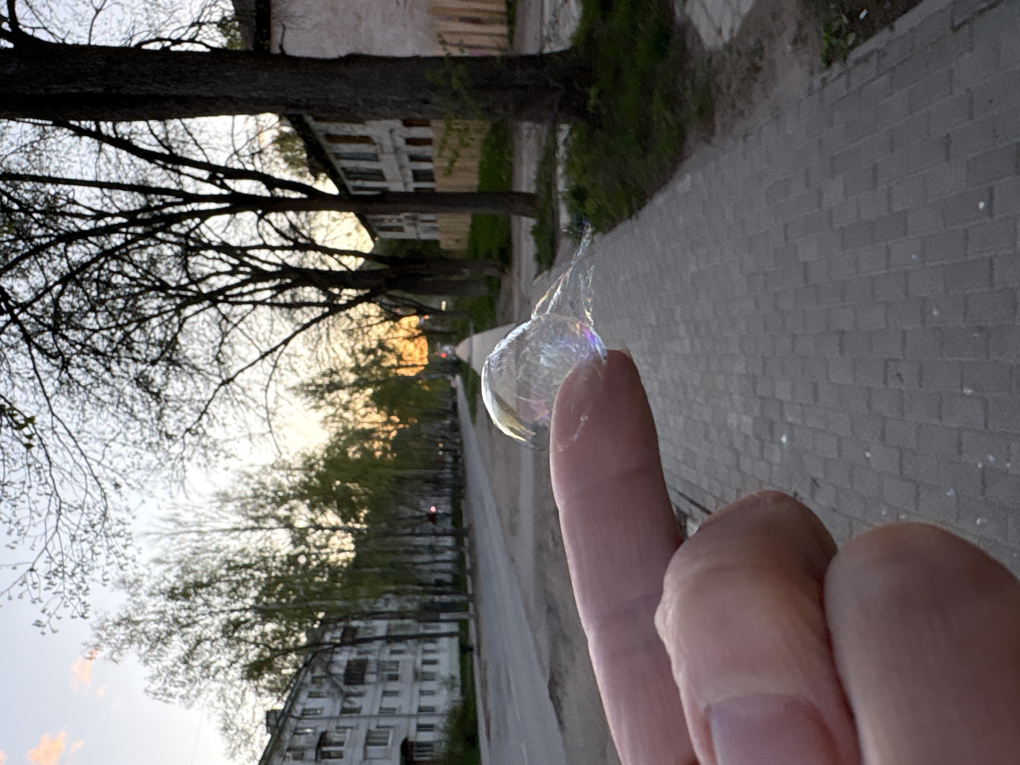 A bubble rests on the tip of a finger, photographed on a street in Chaikovsky, Russia. The finger, part of a hand held in the foreground, is juxtaposed against an urban backdrop. Behind the hand, a sidewalk runs along a street lined with buildings and trees, some bare-branched and some just beginning to leaf out. In the distance, the setting sun casts a warm glow through the trees. The buildings appear to be low-rise apartment complexes. The sidewalk is paved with grey bricks.