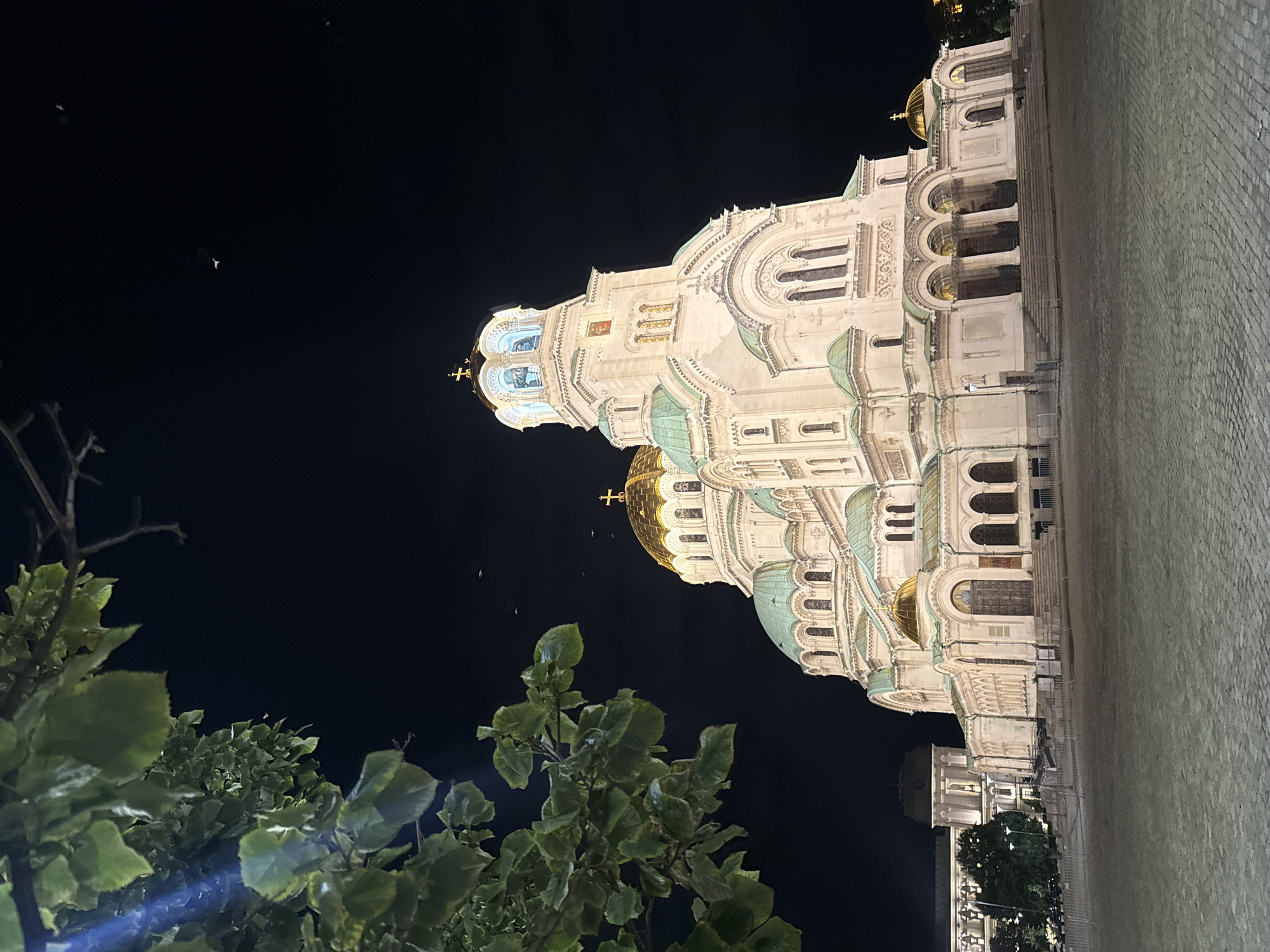 A low-angle, wide shot captures the illuminated exterior of the Alexander Nevsky Cathedral in Sofia, Bulgaria, at night. The cathedral, a prominent landmark with its white stone facade and multiple gilded and green domes, dominates the frame. A large tree with green leaves occupies the upper left quadrant of the image, its branches extending towards the dark night sky. Several small dark shapes, possibly birds, are visible in the sky above the cathedral. The foreground consists of a paved public square, illuminated by unseen light sources, creating a textured cobblestone pattern. In the background, to the left of the cathedral, another building with a domed roof and illuminated windows is partially visible, along with some streetlights and trees. The overall scene conveys a sense of grandeur and nocturnal beauty.
