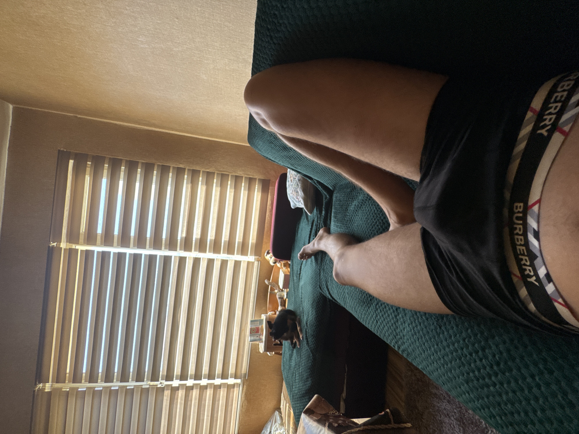The image depicts a first-person perspective of a person lying on a green textured sofa. The person is wearing black boxer briefs with a distinctive Burberry waistband. The person's legs and part of their torso are visible, with the right leg bent and resting on the sofa. In the background, on the same sofa, a small black and brown dog is lying down. Further behind the dog, there are blinds on a window, a wall, and other furniture, suggesting an indoor domestic setting. The lighting indicates it is daytime, with sunlight streaming through the blinds. There is no indication of the city of Sofia, Bulgaria.