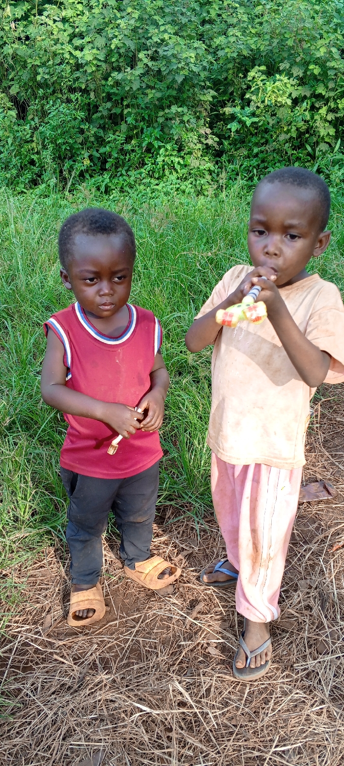 The scene depicts two young male children standing outdoors in Ngalula, Democratic Republic of the Congo. The child on the left, with dark skin and short dark hair, wears a red sleeveless shirt with blue and white trim, dark trousers, and light brown sandals, holding a small light-colored object in his right hand. The child on the right, also with dark skin and short dark hair, wears a light orange t-shirt, light pink trousers with a vertical stripe, and grey flip-flops; he is actively blowing into a multi-colored toy whistle or party blower, held with both hands. The ground consists of dry grass, dirt, and scattered plant debris. Dense, vibrant green foliage forms the background.