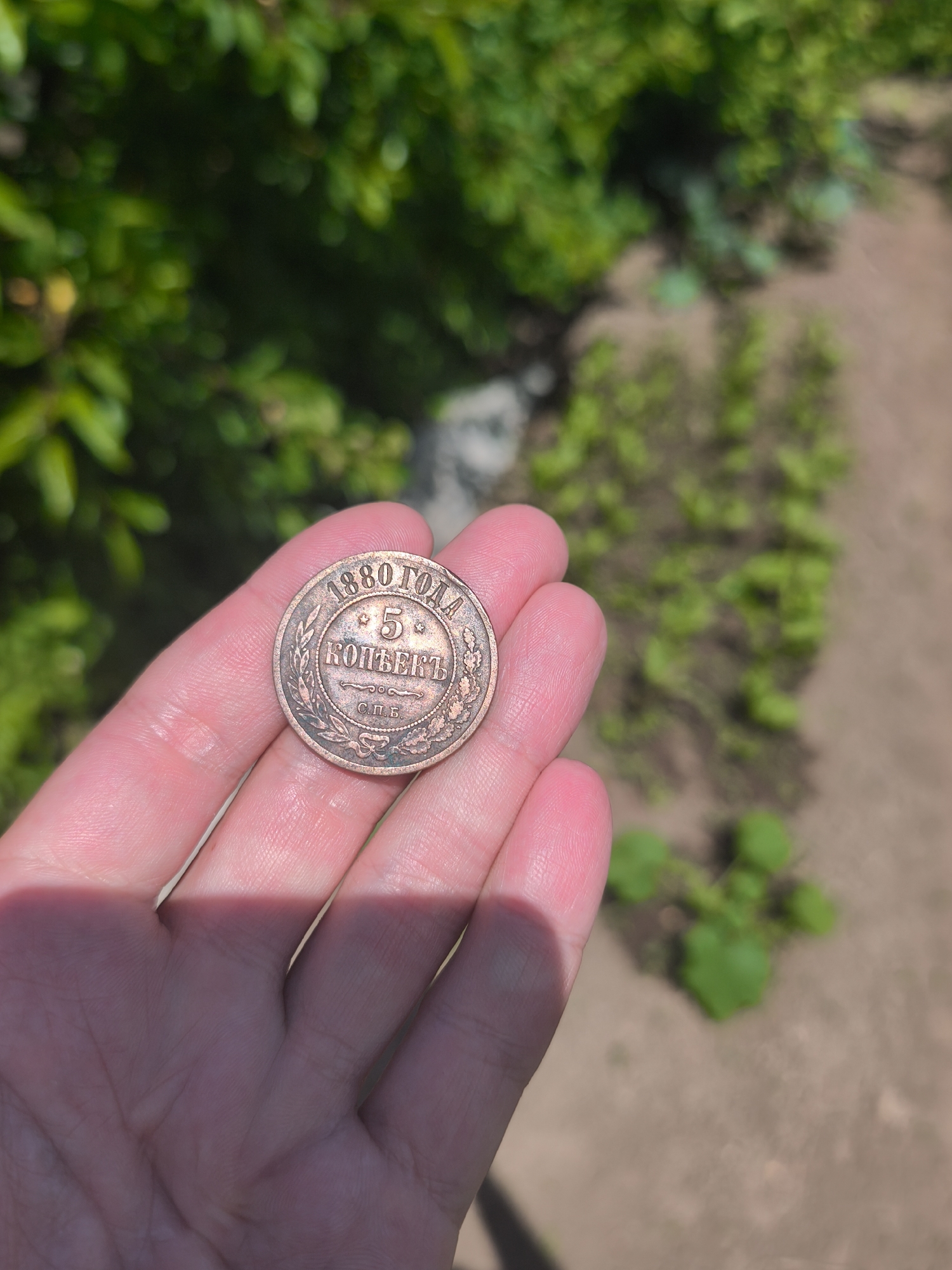 A close-up shot shows a hand holding a copper coin with the year "1880" and "5 КОПЕЕК" (5 kopecks) visible. The coin is surrounded by a wreath design. The background is out of focus and appears to be an outdoor setting with green foliage and brown earth, suggestive of a garden or park. The scene does not contain any elements that indicate the specific location within the city of Kady, Russia.