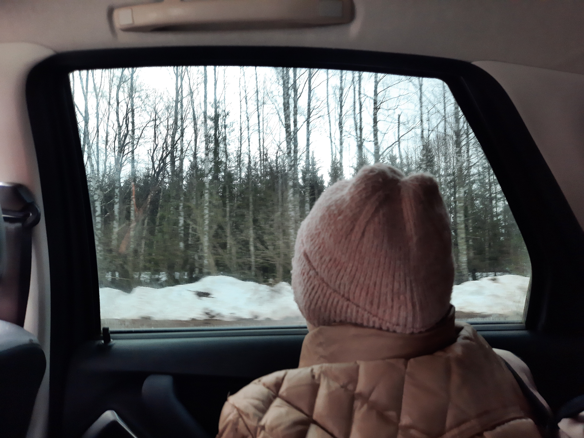 A person wearing a tan quilted jacket and pink knit hat is sitting in the back seat of a car, looking out the window. The window shows a wintery scene with a forest of bare trees and patches of snow-covered ground. The location is Архангельское, Russia, judging from the presence of birch trees and general winter landscape.