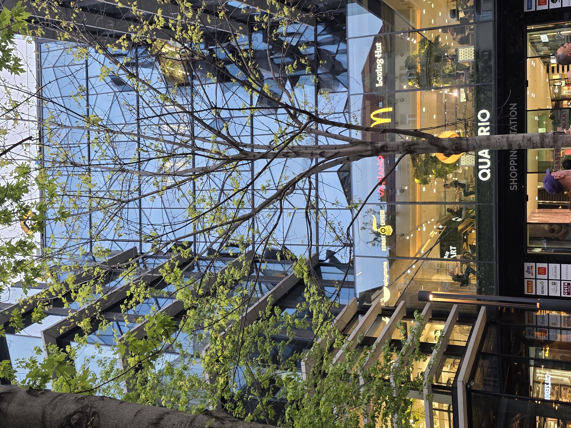 This media file, originally rotated 90 degrees clockwise, captures a vibrant urban scene featuring a modern building with a dominant glass facade. In the foreground, a prominent tree with numerous branches and fresh, light green leaves partially obstructs the view of the structure.
The glass exterior of the building extensively reflects the bright blue sky, clouds, and fragmented views of surrounding architecture. The lower and middle sections of the building house various retail and dining establishments. Visible text and logos include "Loving Hut," the iconic "M" logo for McDonald's, "BOMBAY EXPRESS," and "spicymama." A large sign clearly displays "QUARRIO" and "SHOPPING STATION," indicating a commercial complex or area. A vertical panel on the right side lists several other well-known brands such as "BILLA," "dm," "BENU," "DELMART," "SEPHORA," and "COSTA" (Costa Coffee), further emphasizing the retail focus.
Through the large windows, one can discern interior lighting and blurred figures, suggesting people engaged in shopping or dining activities. Two men are partially visible on the far right edge of the frame, seemingly observing the scene. The setting appears to be daytime, under clear weather conditions, portraying a busy and contemporary city environment.