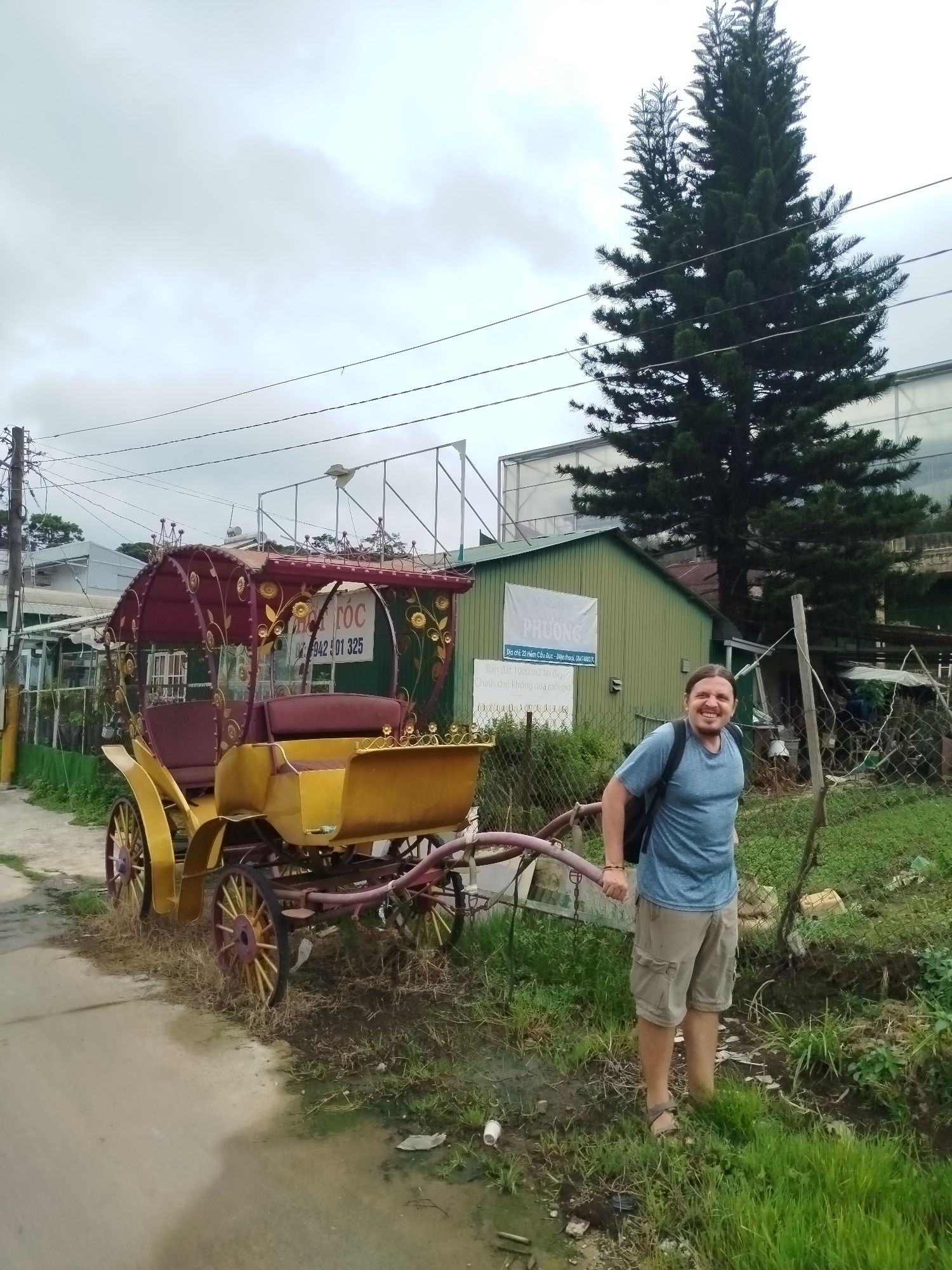A man with medium-length brown hair, wearing a blue t-shirt, beige cargo shorts, and sandals, stands smiling with his left arm extended, holding onto the shaft of a yellow and maroon horse-drawn carriage. The carriage is ornate, with a maroon roof adorned with gold trim and decorative elements. It has two rows of seating. The carriage wheels are yellow with maroon spokes. The man is positioned on the right side of the frame, with the carriage on the left.
Behind the man and carriage, there is a green wooden building with a white banner on it. A tall pine tree with dense foliage is situated behind the building and to the right of the carriage. The environment appears to be a rural or semi-rural area, with overgrown grass and a dirt path. A chain-link fence is visible behind the man. Overhead power lines crisscross the sky. The sky is overcast. The overall scene suggests an outdoor setting in Da Lat, Vietnam, possibly a tourist attraction or a place where these carriages are used.