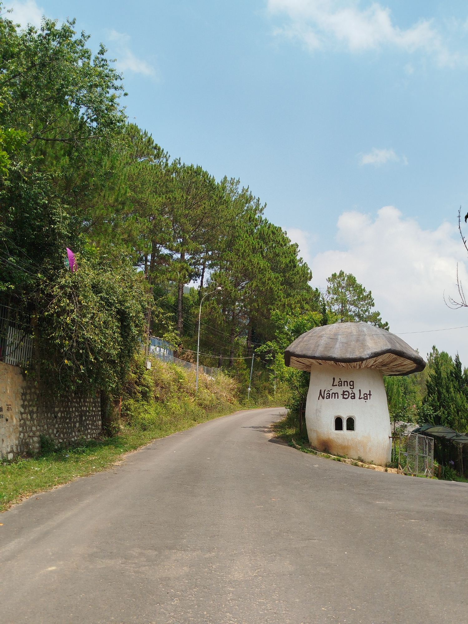 The photograph presents a road curving upwards, flanked on the left by a stone retaining wall and lush trees, and on the right by a large, stylized mushroom structure. The mushroom is painted white with a brown cap and features two arched window-like openings. "Làng Nấm Đà Lạt" is written in black on the mushroom's side. In the background, pine trees dominate the landscape under a sky with scattered clouds. The road surface is asphalt. This location is near Lang Biang - Da Lat, Vietnam. There are no people visible in the image.