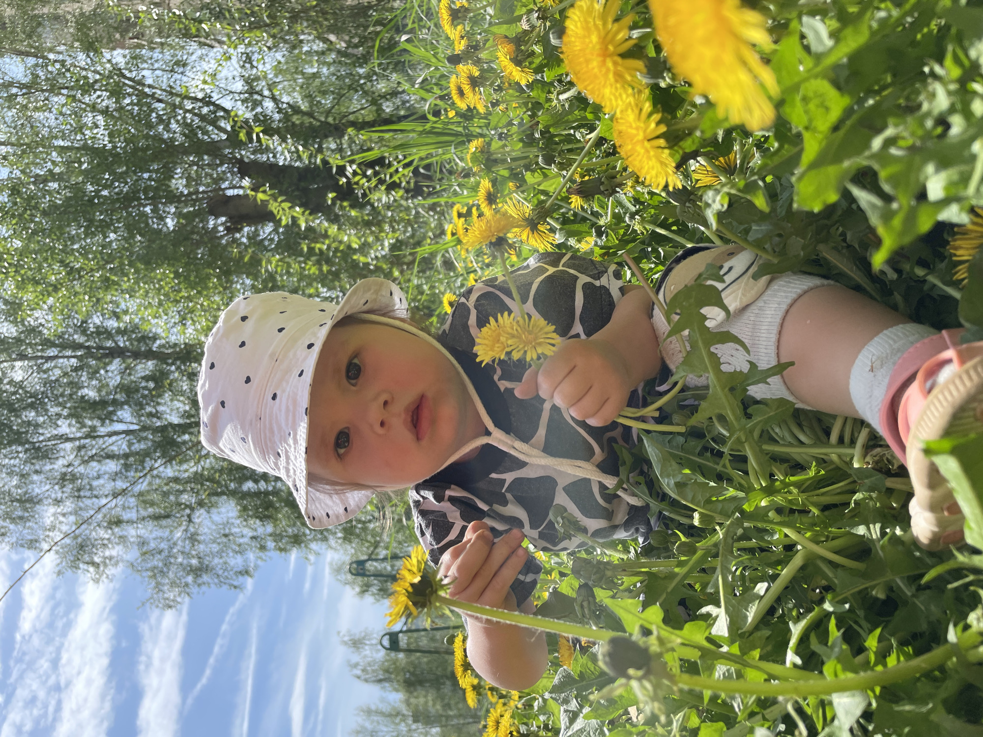 A toddler wearing a white hat with black polka dots, a dark-patterned shirt, light-colored shorts, and pink sandals is lying in a field of dandelions. The child is holding two dandelions. The background includes trees, a blue sky with wispy clouds, and green vegetation. The location is presumably Izhevsk, Russia.