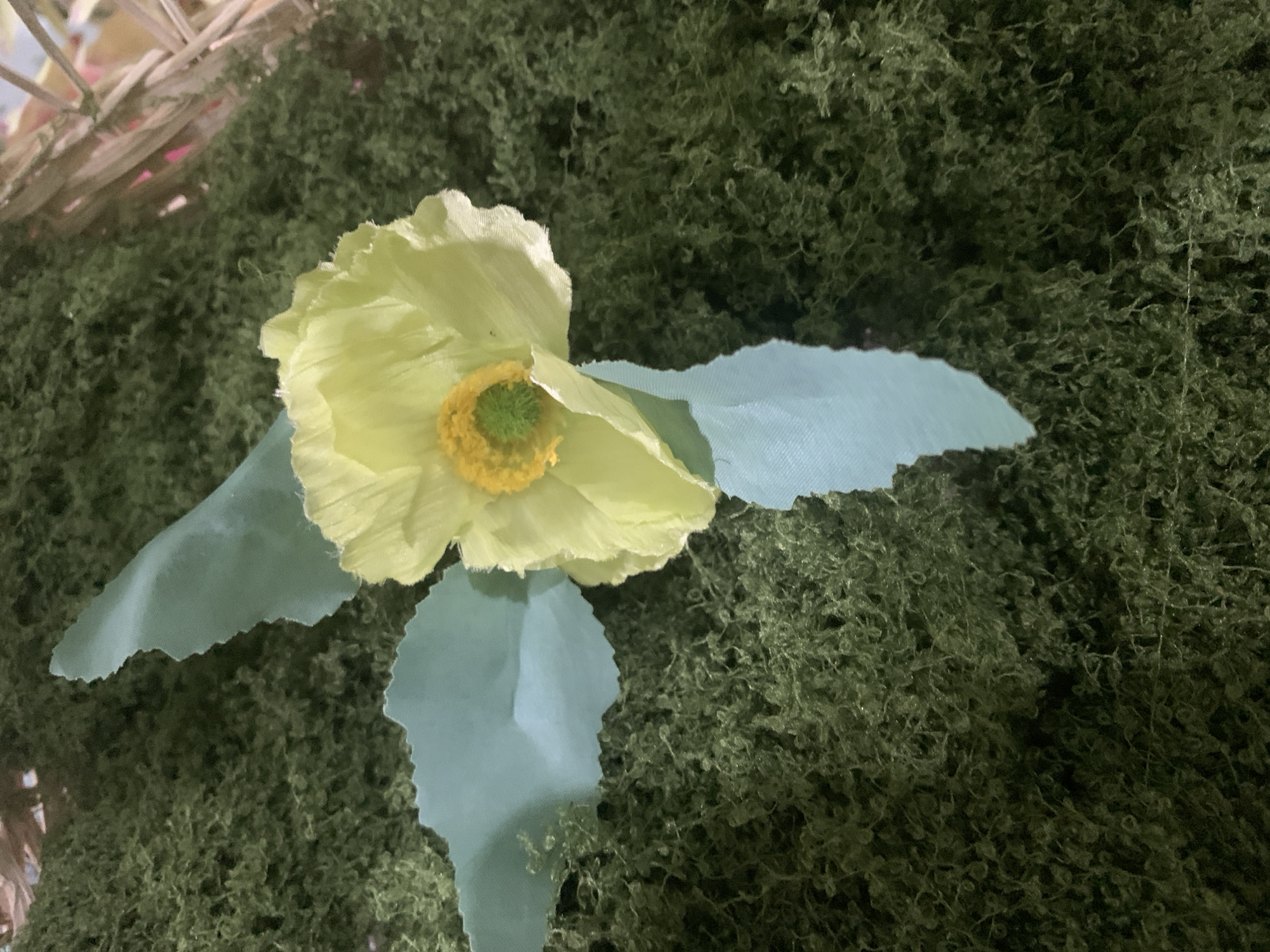 The image displays a close-up view of a pale yellow artificial flower with a yellow and green center, positioned against a background of dark green, textured material that resembles moss. Two light blue artificial leaves, with irregular, torn edges, are attached to the flower and extend outwards. One leaf is positioned to the left of the flower, and another is below it. A woven, straw-like material, possibly part of a basket or decorative element, is visible in the upper right corner. The scene is dimly lit, creating shadows and highlighting the textures of the moss and flower petals. The location in Kuala Pembuang, Indonesia is not discernible from the visual information provided in the image.