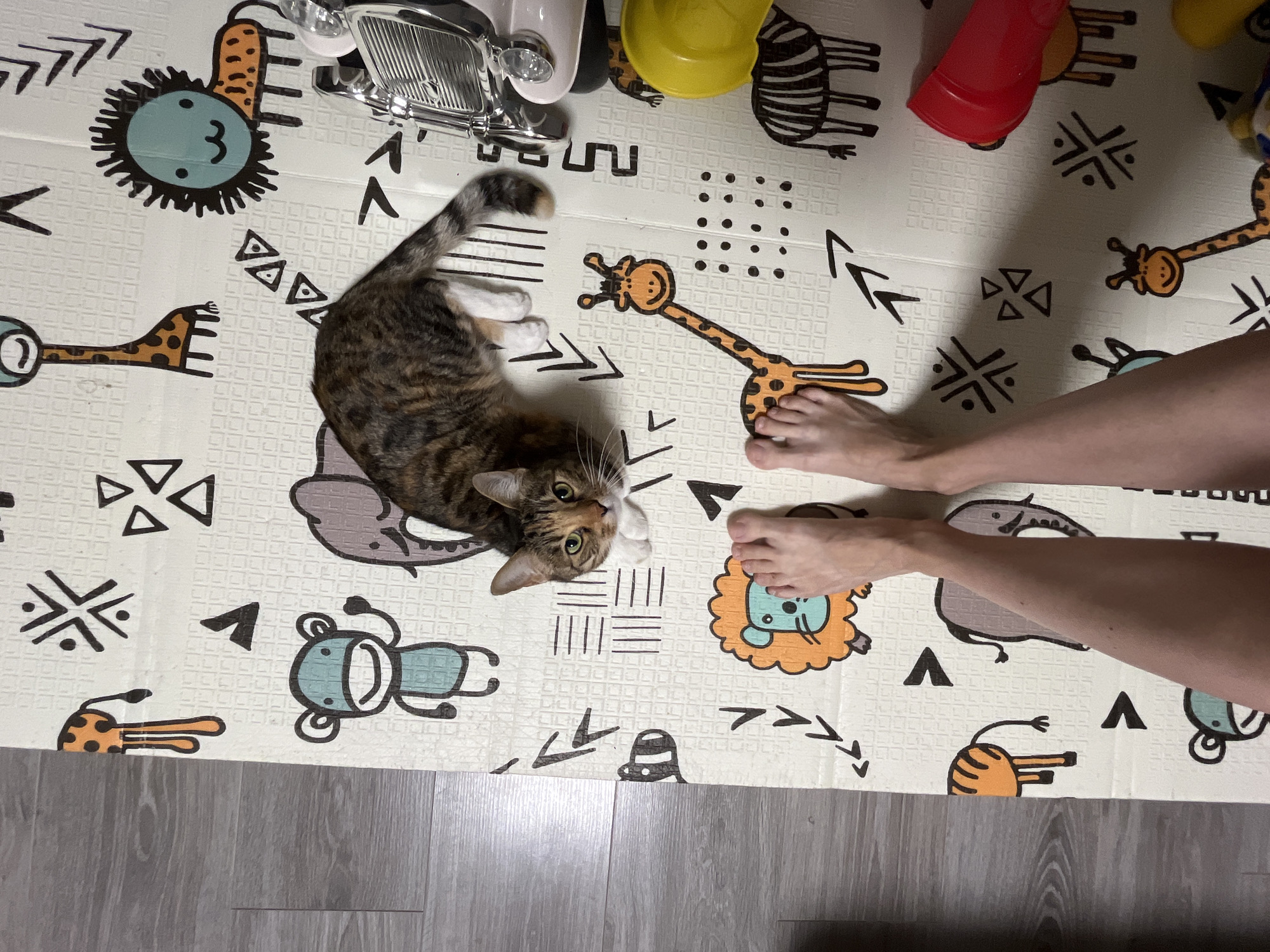 A tabby cat is lying on a play mat with cartoon animal designs. The cat is in the center of the image, looking at the camera with its head slightly tilted. The play mat has images of a lion, a giraffe, an elephant, a monkey, and a zebra. The cat's tail is extended to the right. In the foreground, two bare feet are visible on the mat. To the right of the cat, a portion of a toy vehicle and a yellow plastic bowl are visible. The play mat is placed on a wooden floor. The image does not contain any information that would indicate the location in the city of Nizhny Novgorod, Russia.