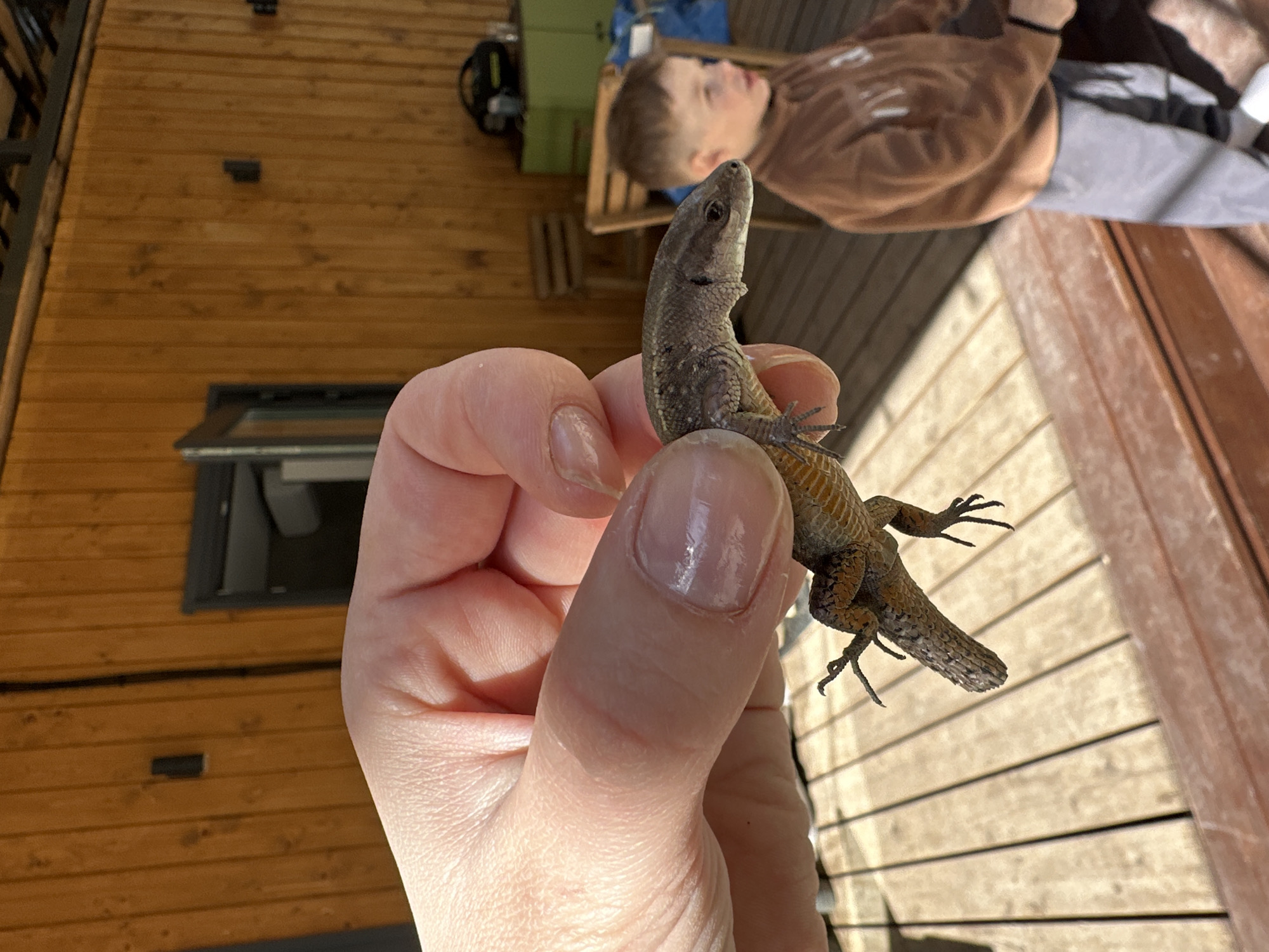 A person is holding a lizard in their hand. The lizard is brown and gray with small scales. A child is lying in the background. The location is outdoors on a deck or porch attached to a wooden building. There is a partially open window visible. The location is likely Прикамский, Russia.