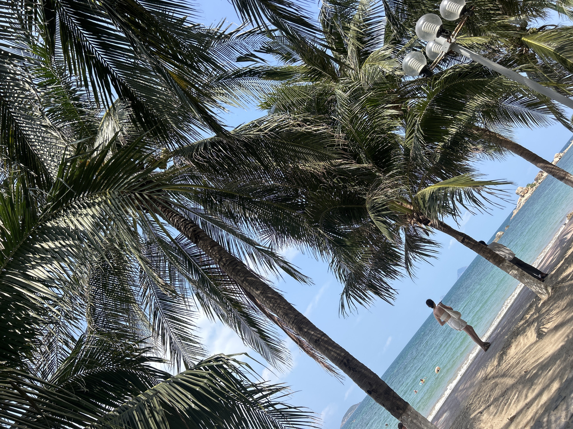 The scene depicts a beach in Bắc Nha Trang, Vietnam. The foreground is dominated by palm trees with dense foliage, partially obscuring the sky. A man wearing white clothing is standing near the shoreline, with his back facing the camera. A second figure, partly obscured, is standing near a palm tree further down the beach. People are swimming in the water. A light post is visible amongst the trees on the beach. The sky is blue, with some clouds. The beach is sandy, and the sea is a turquoise-green color.