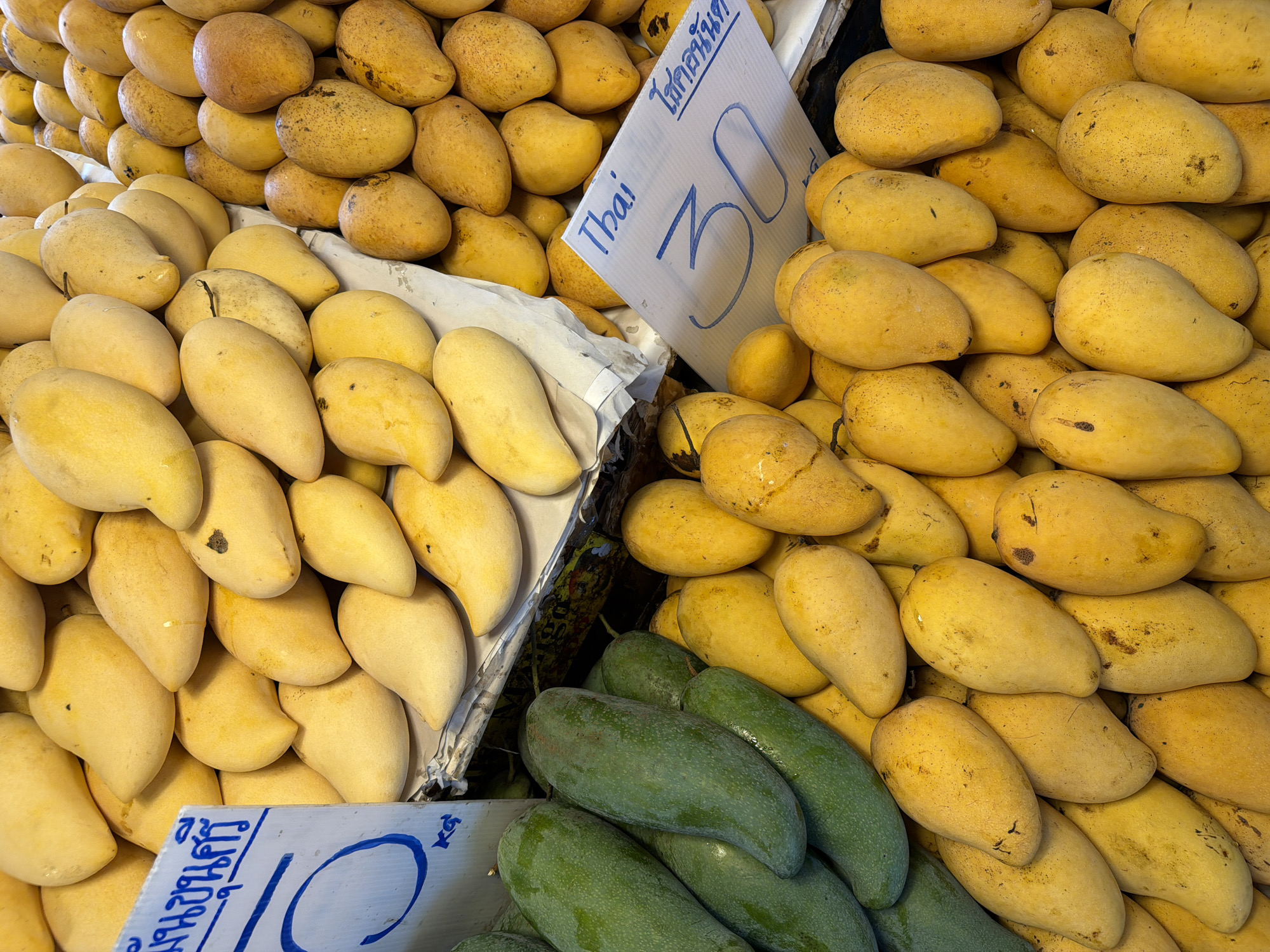 This image shows a display of mangoes for sale in Pattaya City, Thailand. Several varieties are visible, including yellow ripe mangoes stacked high, and green unripe mangoes in the foreground. Price signs are present, indicating different prices for the different varieties, written in Thai script and English.