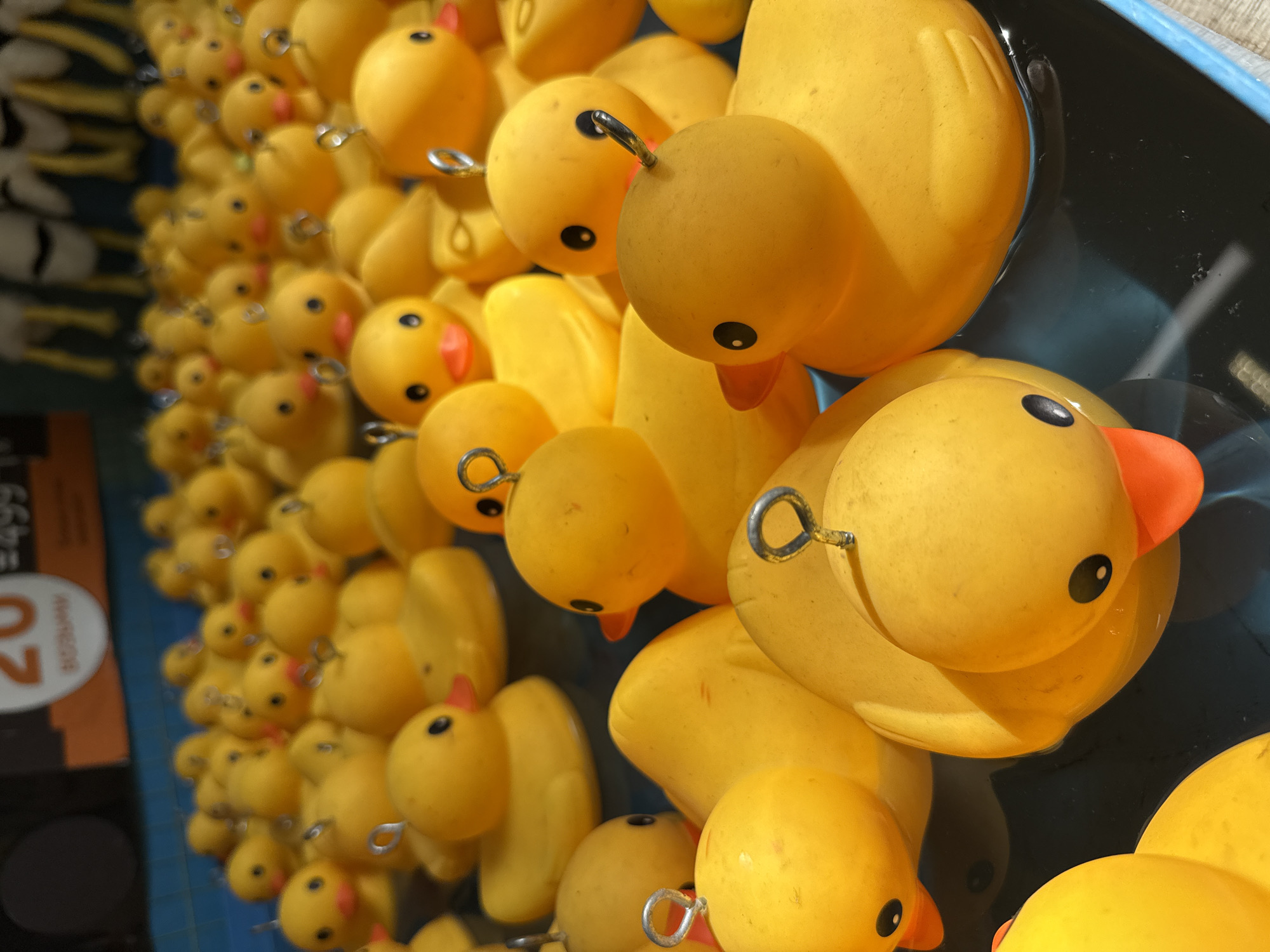 A photograph shows a large group of yellow rubber ducks, some floating in water, possibly in a container or tub. The ducks have orange beaks and black eyes, and each has a metal loop attached to its head. Many of the ducks are densely packed together. A sign is partially visible on the left side, with the numbers "20" and the price "$4.99" printed on it. The setting appears to be a carnival or fairground game. The specific location in Izhevsk, Russia, cannot be determined from the photograph alone.
