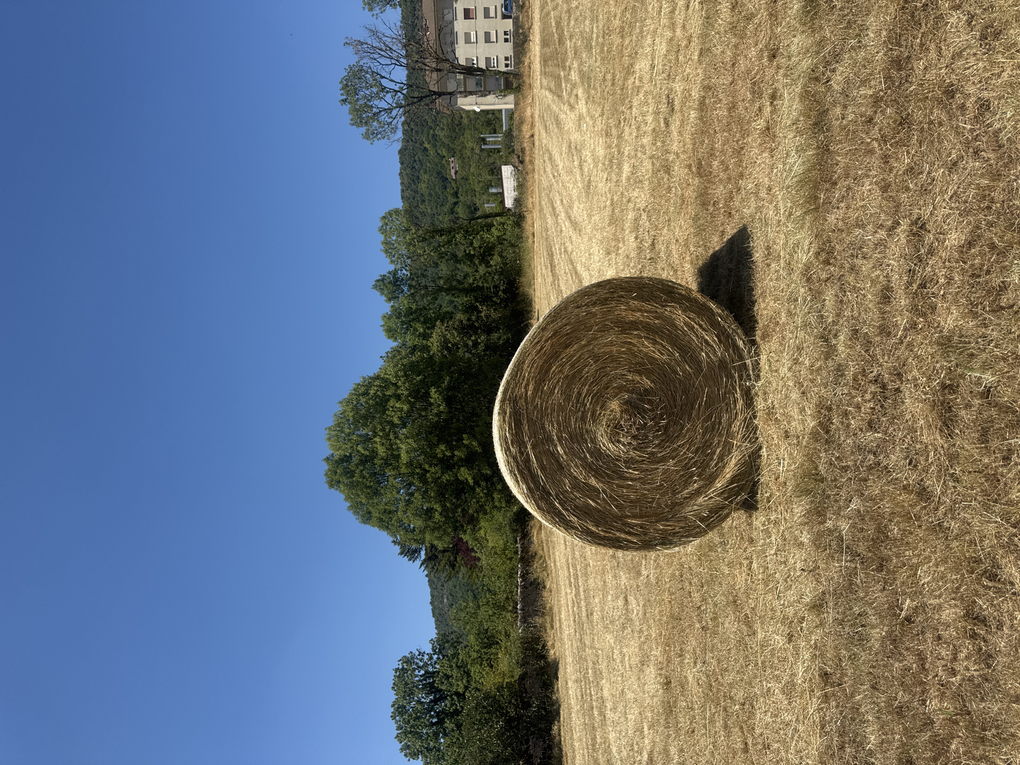 This is a vertical, eye-level, full shot of a hay bale in a field under a clear blue sky in Coteaux du Lizon, France. The hay bale is in the center of the frame, taking up approximately one-third of the image. It is round and appears to be made of dried grass. The field is covered in dry, golden-yellow stubble, indicative of a recently harvested hayfield. In the background, there is a line of trees and a distant hillside covered in greenery. A light-colored, multi-story building with several windows is visible on the right side of the background, situated on the hillside. A dark shadow of the hay bale is cast on the ground to its right. The scene is bathed in bright sunlight.