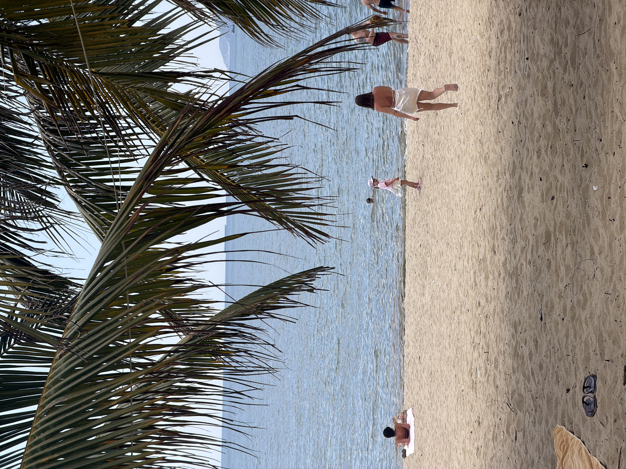 The image, if correctly rotated to a landscape orientation, captures a tropical beach scene in Nha Trang Ward, Vietnam, under bright daylight. Lush, dark green palm fronds dominate the left foreground, framing the view of a calm, blue-green ocean and a wide expanse of light brown sand.
Several people are visible, enjoying the beach environment. In the bottom left, a person sits on a light-colored towel at the edge of the water, wearing dark attire and a hat, appearing to be relaxing or sunbathing. Further along the shoreline, a woman with her back to the camera walks towards the water, dressed in a white top and a light-colored skirt or sarong. Near her, a young child, likely a girl, wearing a light-colored top, shorts, and a hat, stands in the shallow water, seemingly playing or exploring. Deeper in the water, two men are present, one partially submerged and another standing closer to the shore, both in swim trunks.
The sandy beach features ripples and scattered small debris. In the bottom right corner of the sand, a pair of dark flip-flops and a light-colored towel are visible. The water appears tranquil, with distant land or mountains visible on the horizon under a clear sky. The scene conveys a relaxed and leisurely atmosphere. There is no visible text in the image.