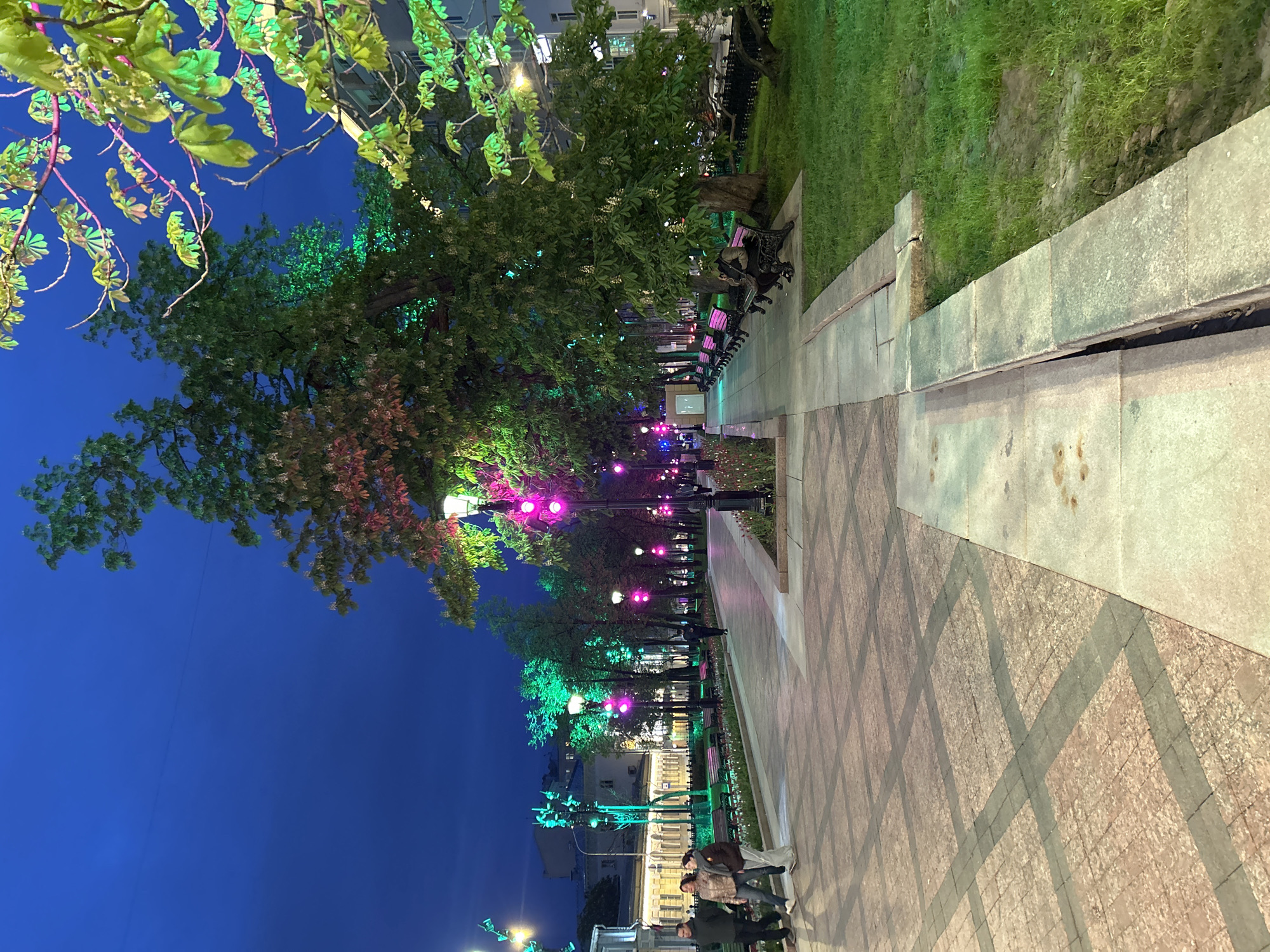 The image depicts a street scene at night in an unknown city. A paved walkway extends into the distance, lined with trees illuminated by green and purple lights. Benches are visible along the path. A low wall separates the walkway from a grassy area. A group of four people are standing at the near end of the walkway. The sky is a deep blue. Buildings are visible in the background.