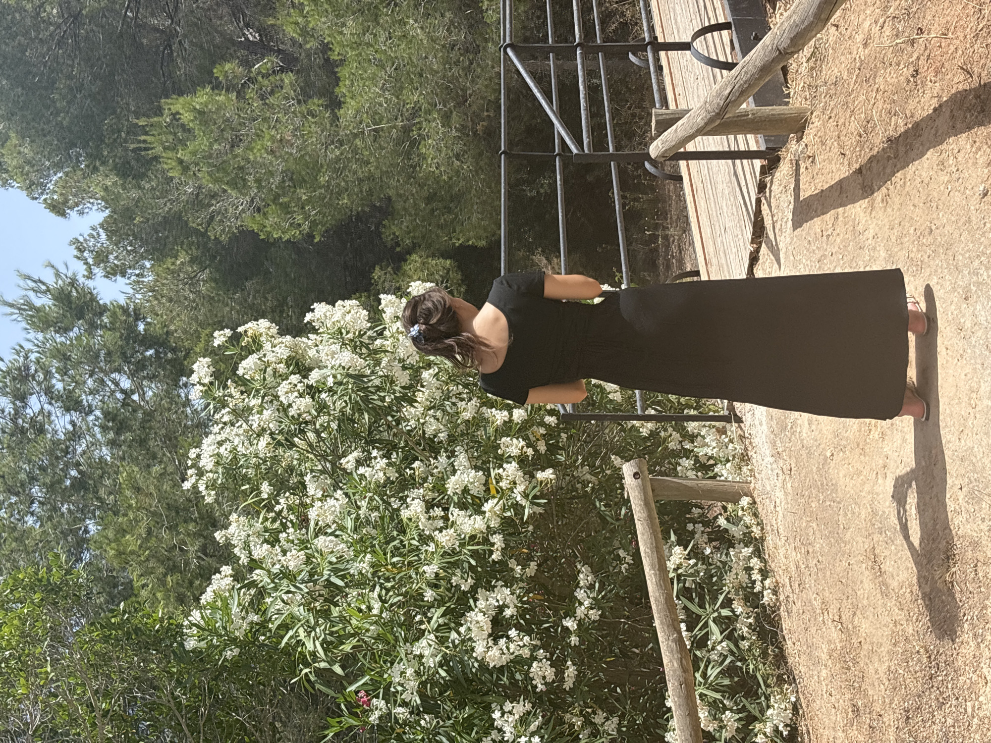 In a natural, outdoor setting, a person stands with their back to the camera, facing a wooden bridge and lush greenery. The individual, wearing a long, black dress and pink sandals, has their hair tied back with a light blue accessory. To the left, a dense bush with numerous small white flowers and green leaves dominates the scene. Behind the person, a dark metal railing lines the edge of the wooden bridge, which is constructed of parallel wooden planks. The ground is a sandy path with scattered dry grass and leaves. Wooden posts and railings are visible along the path. The background is filled with various trees, including pine trees, creating a dense forest-like environment under a clear sky. The lighting suggests a sunny day, casting shadows on the ground.