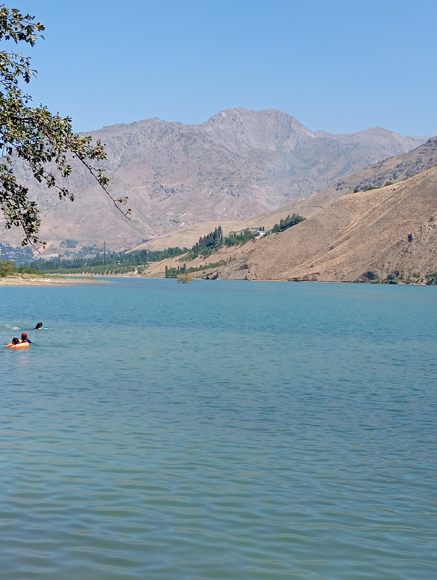 The image captures a serene day at a reservoir located in the city of Yukariyuz, Uzbekistan. In the foreground, the clear, turquoise water of the reservoir gently ripples under a bright blue sky. A few people are enjoying the water. On the left side, a person is partially submerged, with their head and shoulders visible, while another person is further to the right, seemingly swimming. Closer to the foreground, a person is floating on an orange inflatable ring. In the background, the landscape transitions from a dry, brown, and rugged mountainous terrain to a band of green trees lining the distant shore. A small settlement appears to be nestled on the hillside, with buildings and more trees visible. The overall scene evokes a sense of peace and recreation amidst natural beauty.