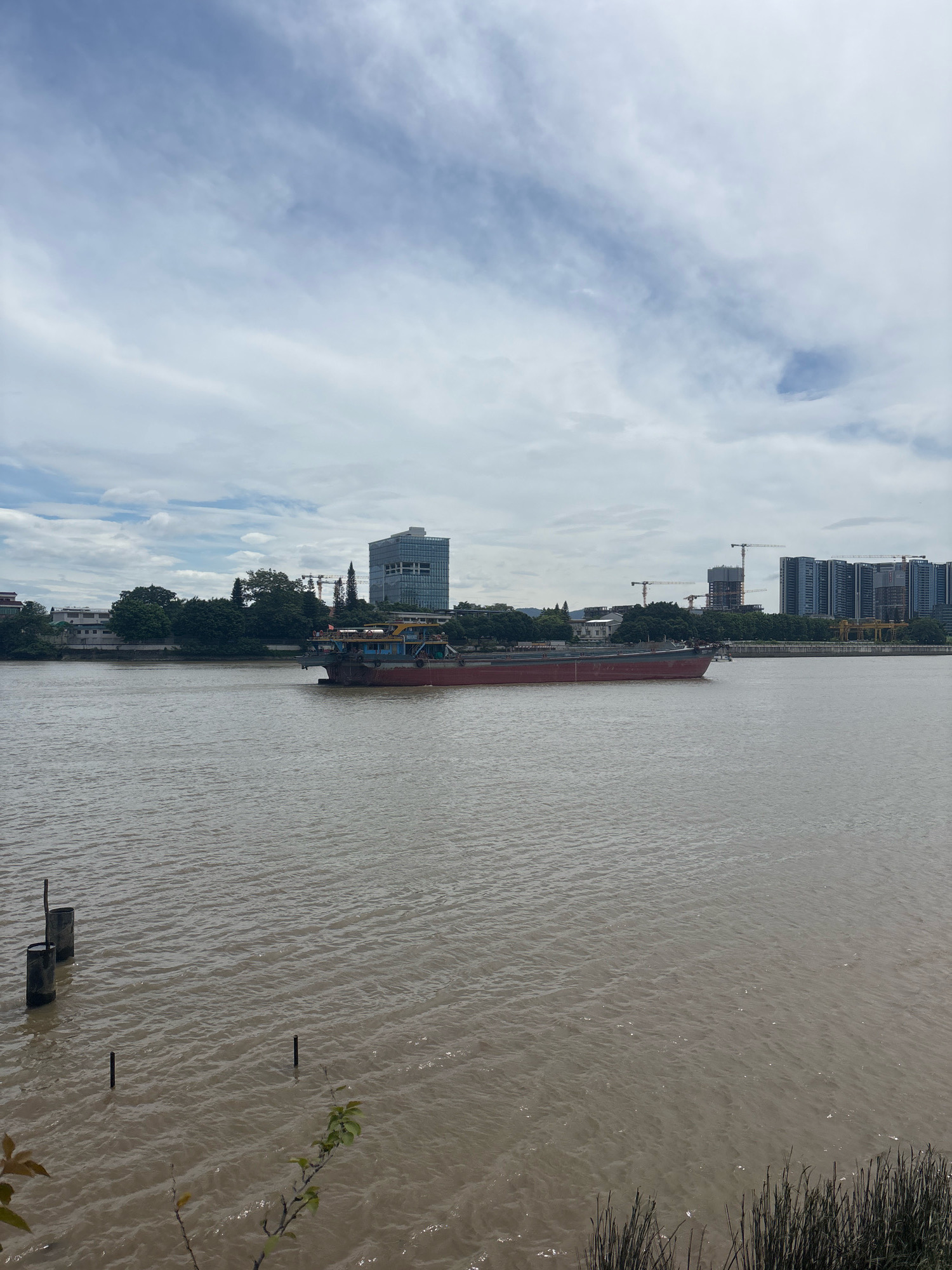 A wide, murky river flows in the foreground, with several dark pilings visible in the water. A long, red and blue cargo barge is in motion on the river. In the background, a tree-lined bank is topped by various buildings, including a modern glass skyscraper and several high-rise apartment buildings under construction, evident by the presence of numerous cranes. The sky above is partly cloudy with a mixture of white and grey clouds. The scene is likely the Pearl River in the Nanhai District of Foshan, China, given the architectural style and the river's appearance.