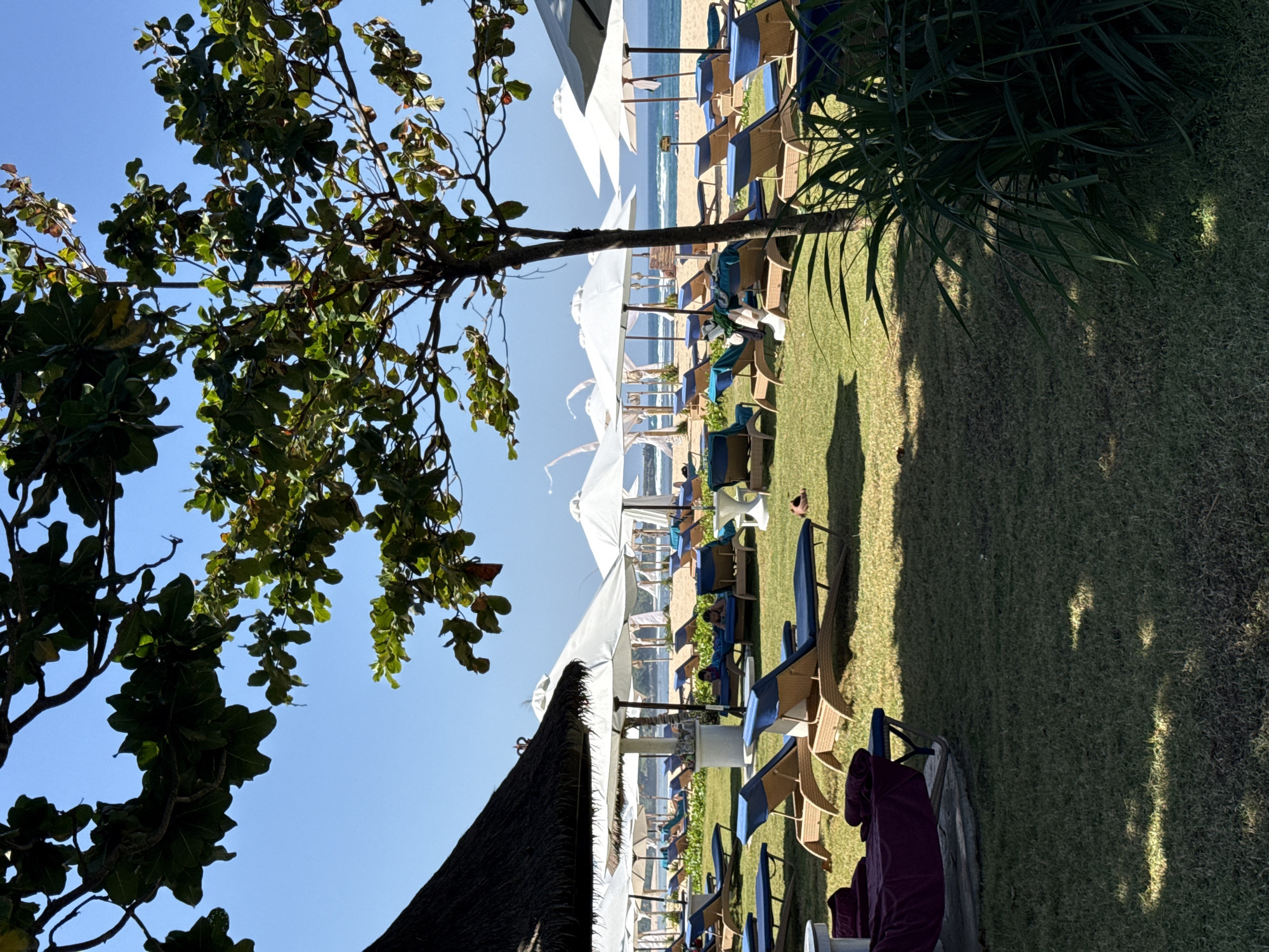 The image depicts a resort beach area in Kuta Selatan, Indonesia, on a clear, sunny day. In the foreground, lush green grass is dotted with lounge chairs, some covered with purple towels. A large thatched umbrella shades some of these chairs on the left. Further back, numerous white umbrellas cover more lounge chairs, facing the ocean. The beach itself is sandy, with gentle waves lapping the shore. In the distance, a calm blue ocean stretches to the horizon under a clear sky. A few palm trees and other tropical foliage are visible, framing the scene and casting shadows on the grass. Two people are partially visible, relaxing on lounge chairs under umbrellas in the middle ground. The overall ambiance suggests a tranquil vacation setting.