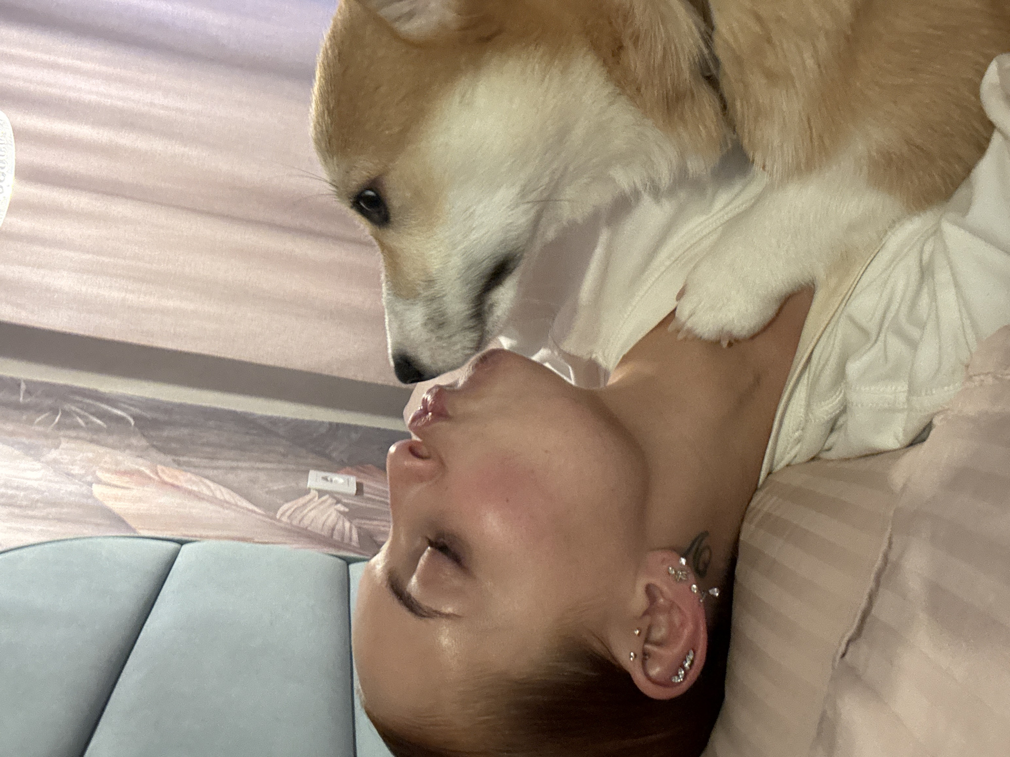 This indoor portrait shows an intimate moment between a person and a small dog, likely in a bedroom in Chaikovsky, Russia. The image is oriented sideways, with the person lying on their back on a bed, facing upwards, and the dog positioned above them.
The subject is a person, likely female, visible from the chest upwards, with eyes closed and lips slightly pursed in a "kissing face" or pouting expression. They wear multiple intricate piercings on their visible ear. The person is dressed in a light-colored, possibly white, top.
Resting on the person's chest/shoulder is a small dog with light brown and white fur, resembling a Corgi. The dog's head is lowered, with its muzzle close to the person's face, and its paw gently placed on the person's body. The dog appears to be looking down at the person, conveying a sense of affection or gentle interaction.
The setting includes a bed with a light-colored, possibly striped, duvet cover or sheet. Behind the person's head is an upholstered headboard in a light blue or grey color, featuring distinct geometric sections. The wall behind the bed is covered with wallpaper depicting abstract, light-toned patterns that suggest natural elements or soft brushstrokes. A small white switch or sensor is visible on the wallpaper.
The scene captures a tender and affectionate interaction between the dog and its owner, suggesting a moment of relaxation and companionship. There is no visible text in the image.