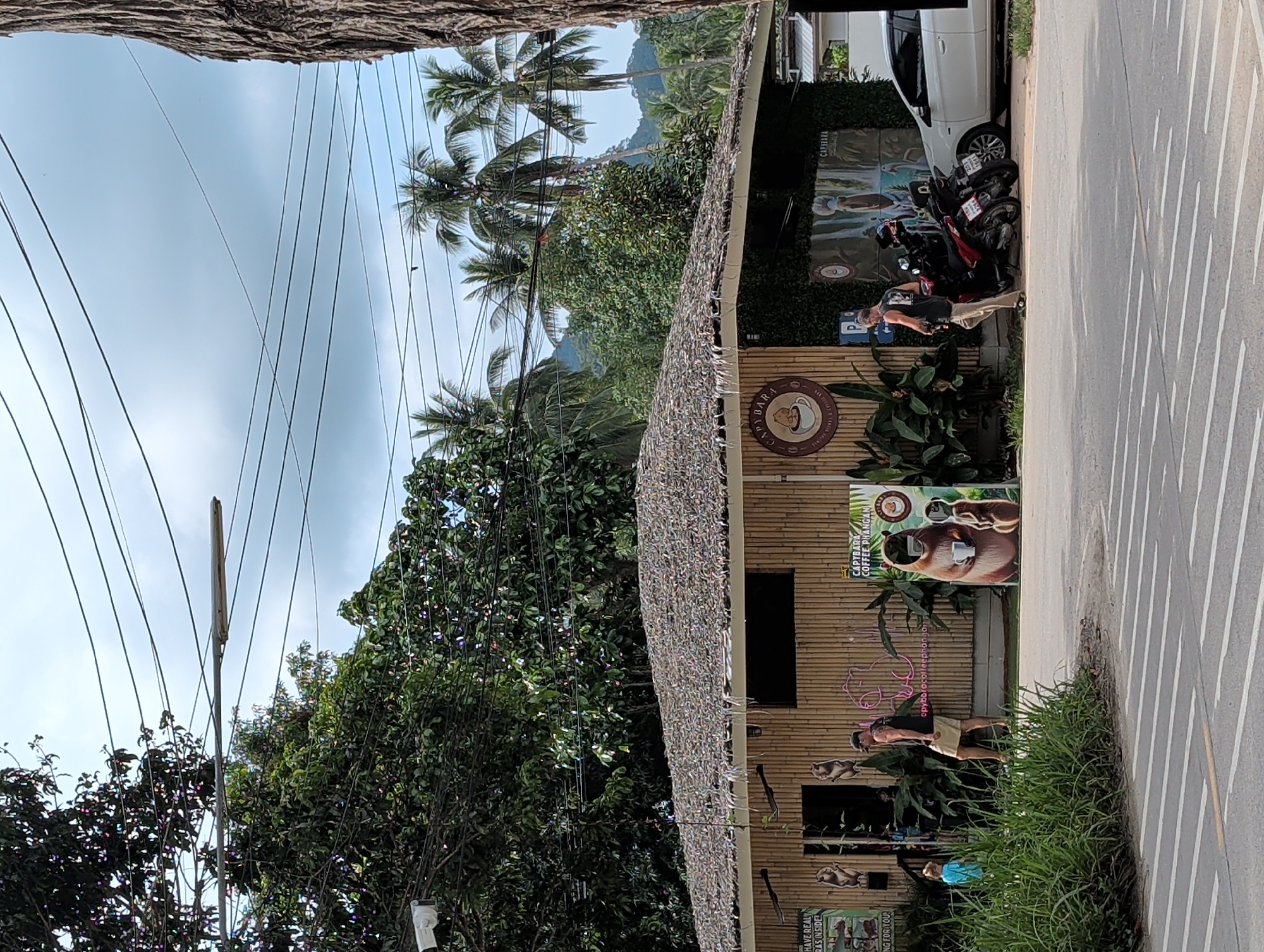 The image depicts a street scene, possibly in Moo 4, Thailand, with a cafe named "Capybara Coffee Phangan" as the focal point. The cafe, constructed with bamboo walls and a thatched roof, features a sign with a capybara image. Various motorbikes and a white car are parked along the adjacent road.
Several individuals are present. A man stands near the parked motorbikes. Another individual, seemingly a customer, is seen near the cafe entrance.
The environment includes lush green vegetation, palm trees, and power lines overhead. A street with painted white lines runs alongside the cafe. The sky is overcast.