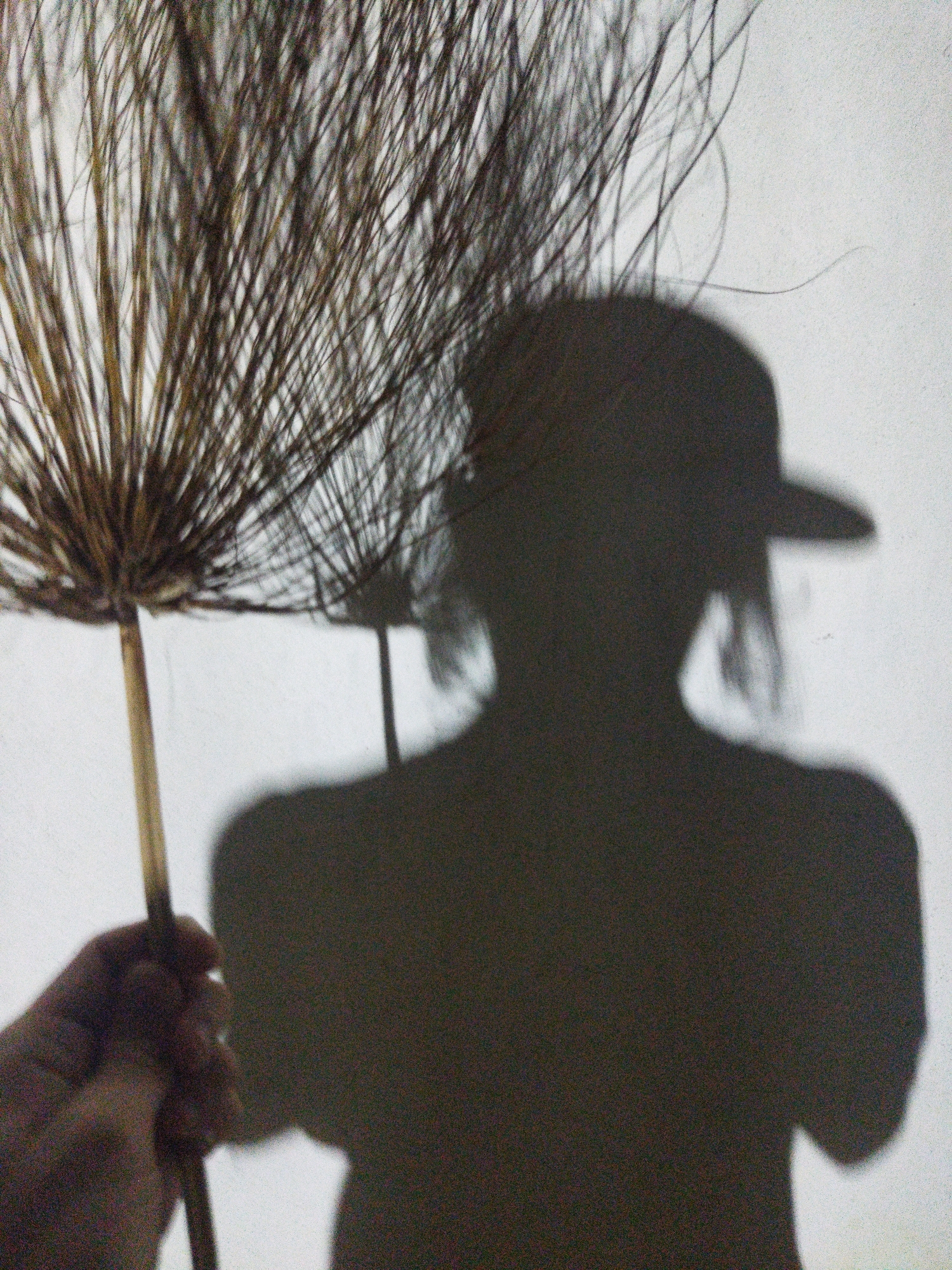 A shadow of a person wearing a cap is cast on a white wall in Tinaquillo, Venezuela. The person is holding a papyrus plant in their left hand. The plant casts a separate, smaller shadow on the wall beside the person's shadow. The background is plain, with a textured surface.
