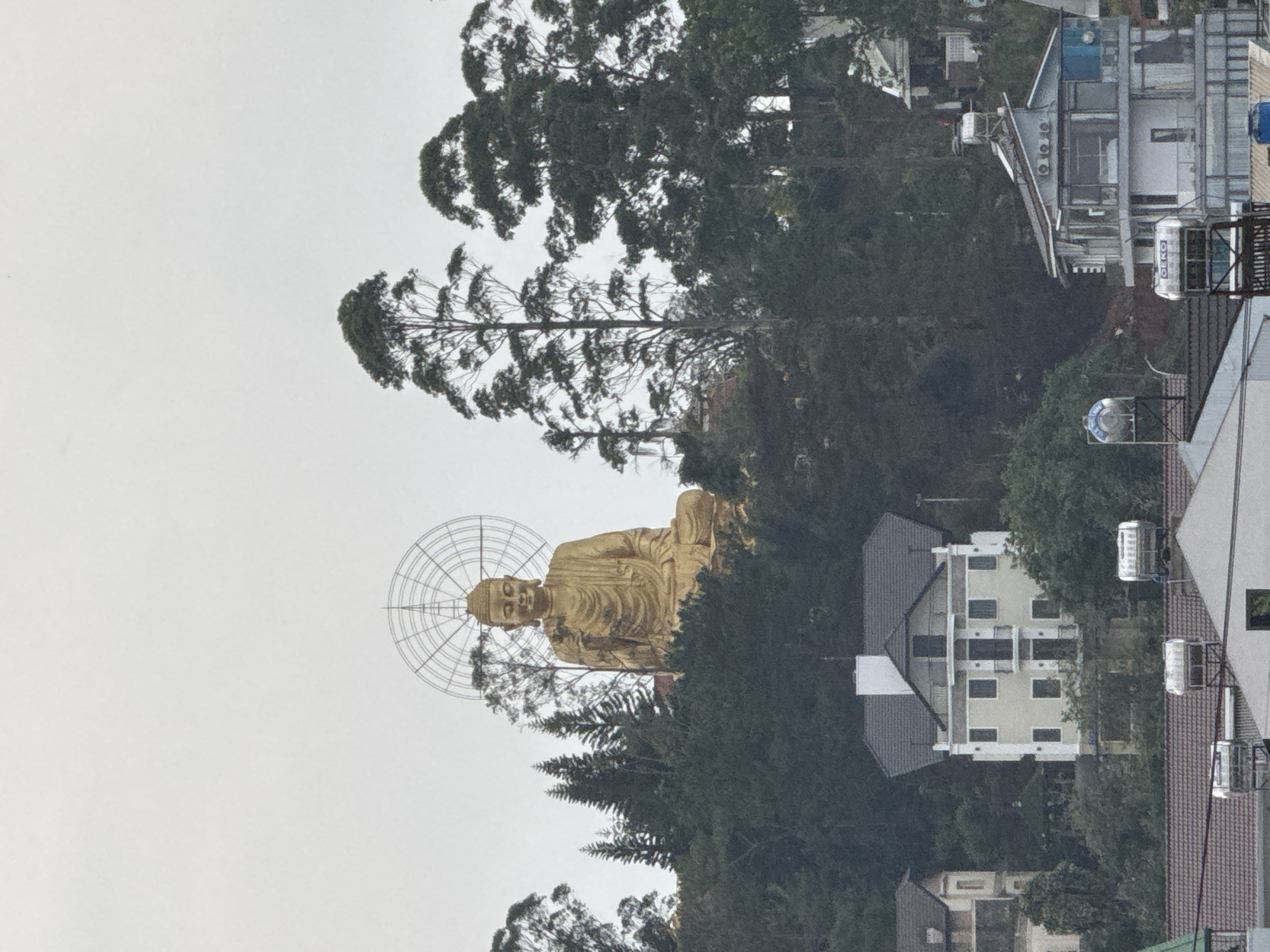 A large, golden Buddha statue, seated in a meditative posture, dominates the central left portion of the image. A prominent, spoked halo or mandorla extends behind its head. The statue is situated amidst a dense canopy of trees, including tall, slender conifers and other evergreen foliage, which frame the Buddha and extend across much of the background and right side of the frame.
To the right of the statue and among the trees, several buildings with varying architectural styles are visible. These include structures with dark tiled roofs and lighter facades, suggesting residential or temple-related constructions. Cylindrical water tanks are present on the rooftops of some buildings, and on one, the word "DEKO" is faintly discernible.
The sky is overcast and appears uniformly light gray, indicating a cloudy day with diffused natural light. No specific activity or event is taking place; the scene captures a static landscape view. The setting combines a significant religious monument with natural surroundings and urban development, indicative of a hilly region. This scene is located in Lâm Viên - Đà Lạt, Vietnam.
