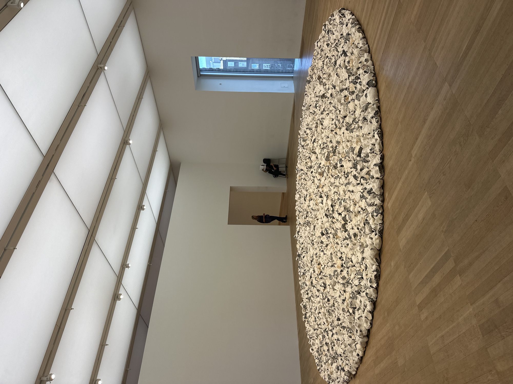 The image depicts the interior of a large art gallery room within the Tate Modern, London, United Kingdom.
A prominent, circular, floor-level art installation occupies the central area of the room. This installation consists of thousands of irregularly shaped objects, primarily white with significant dark grey and black patches, resembling clustered sculpted forms or chalk flints. The objects are densely packed, forming a textured, low-lying mass.
The room features light-toned hardwood flooring and plain, off-white walls. The ceiling is a grid of translucent white panels, providing diffused lighting, interspersed with exposed light brown structural beams and multiple track lighting fixtures with active spotlights.
On the left side of the frame, a rectangular doorway leads to an adjacent room. A person, dressed in dark clothing with light hair, is partially visible standing within this doorway, facing away from the viewer.
On the right side, a tall, narrow window with a deep sill offers a view of an exterior urban building, dark in color, with multiple visible windows. Near this window, a second person is seated on a dark chair, holding a book or device to their face.
The overall scene is brightly illuminated by a combination of natural light from the window and artificial lighting from the ceiling.