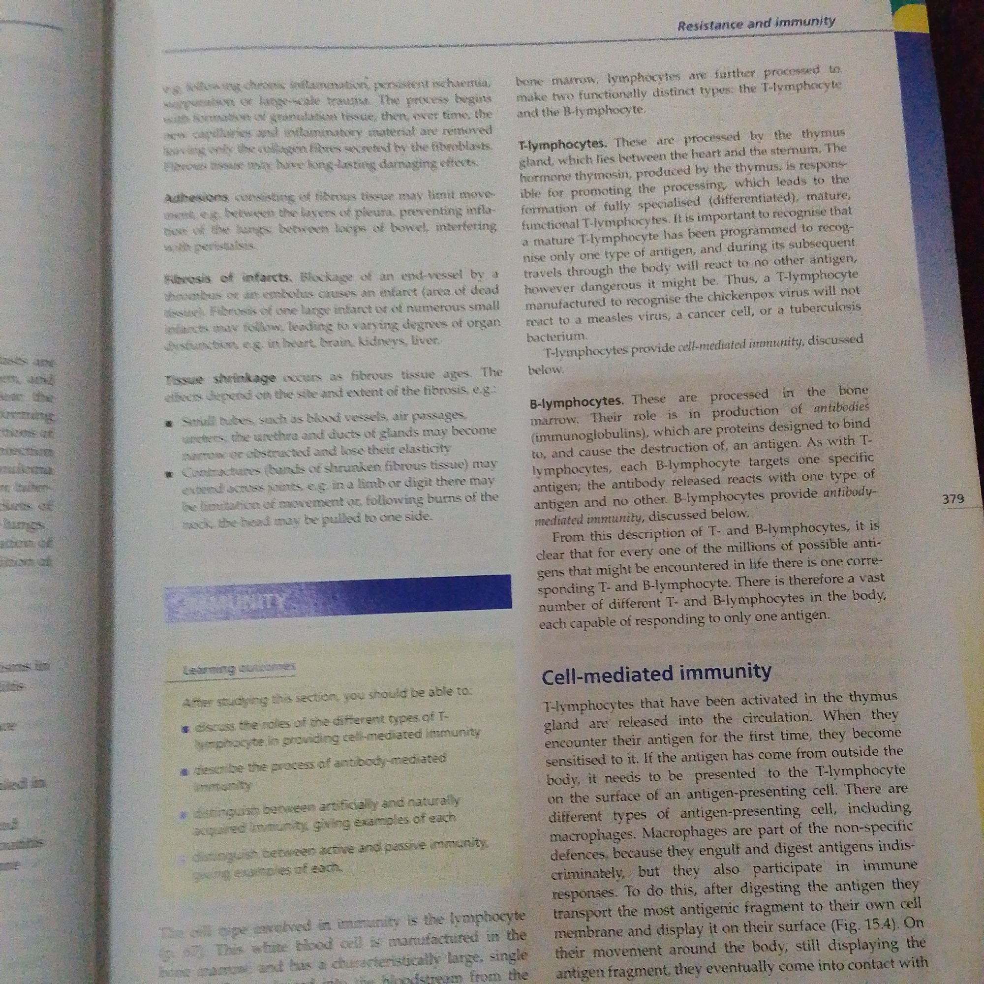 The image is a close-up, eye-level, full-shot photograph of an open textbook. The text is primarily in black ink on white paper, with some blue highlighting and headings. The page is part of a section titled "Resistance and immunity."
The left column of the page discusses tissue shrinkage, adhesions, and fibrosis of infarcts, with bullet points describing their characteristics and causes. It also includes a section on "Learning outcomes" after studying the chapter, listing what the reader should be able to do.
The right column focuses on lymphocytes, differentiating between T-lymphocytes and B-lymphocytes, their functions, and how they contribute to immunity. It mentions the thymus gland, thymosin, antibodies, and antigens. The term "Cell-mediated immunity" is a prominent heading.
The lighting appears to be from above and slightly to the right, creating subtle shadows on the page. The paper has a matte finish. There are no external elements visible, such as a desk, hands, or background environment. The image is entirely focused on the content of the textbook page.
The city of Jalingo, Nigeria is not depicted or referenced in this image.