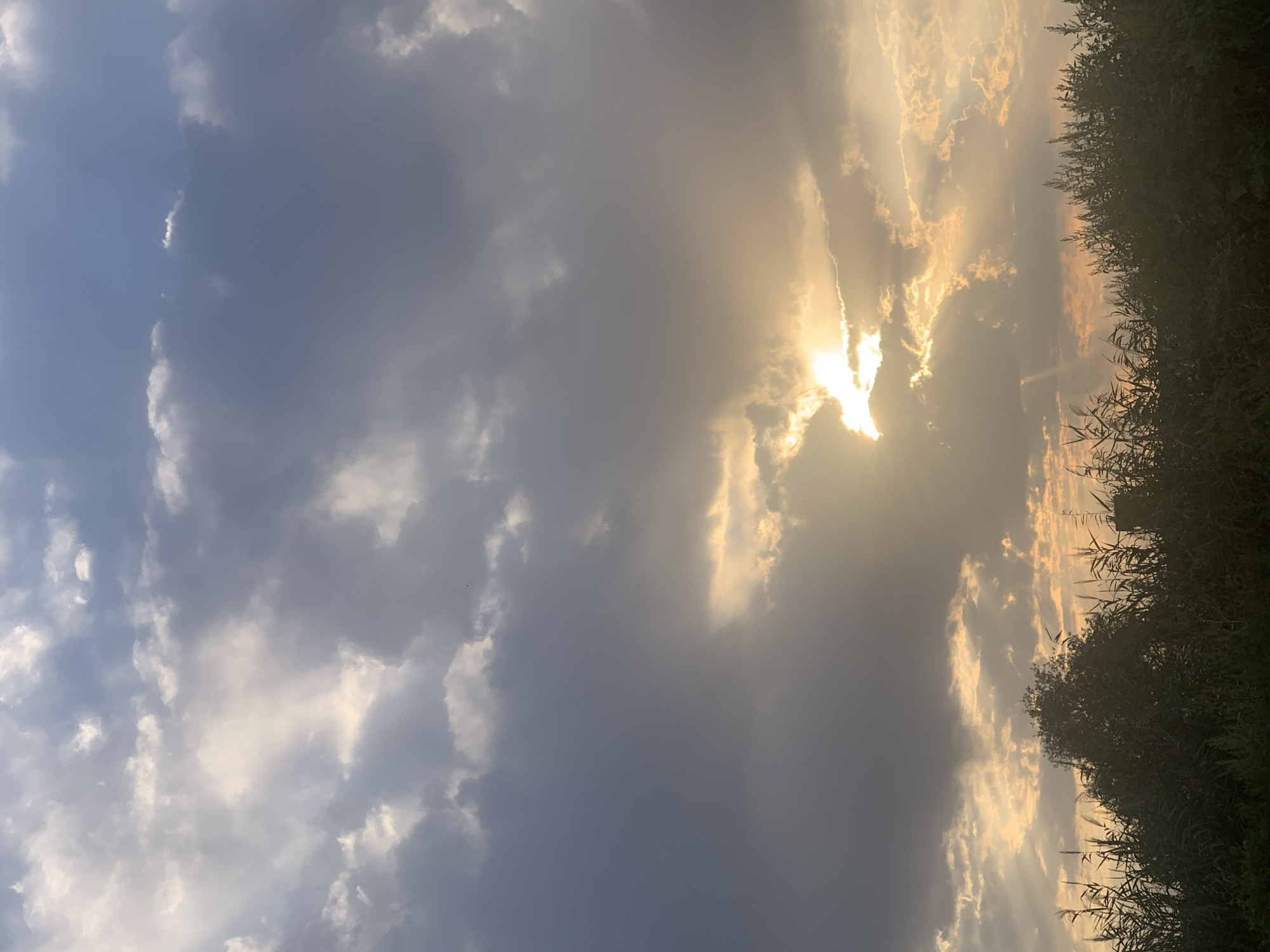 The image captures a sunset over the city of Komsomolskoe, Kyrgyzstan. The sky is filled with dramatic clouds, with rays of sunlight breaking through, creating a luminous effect. The foreground is dominated by the silhouettes of trees and tall grasses, characteristic of the natural landscape surrounding the city. There are no people or discernible human activity visible in the frame. The overall scene conveys a sense of natural beauty and tranquility during the twilight hours.