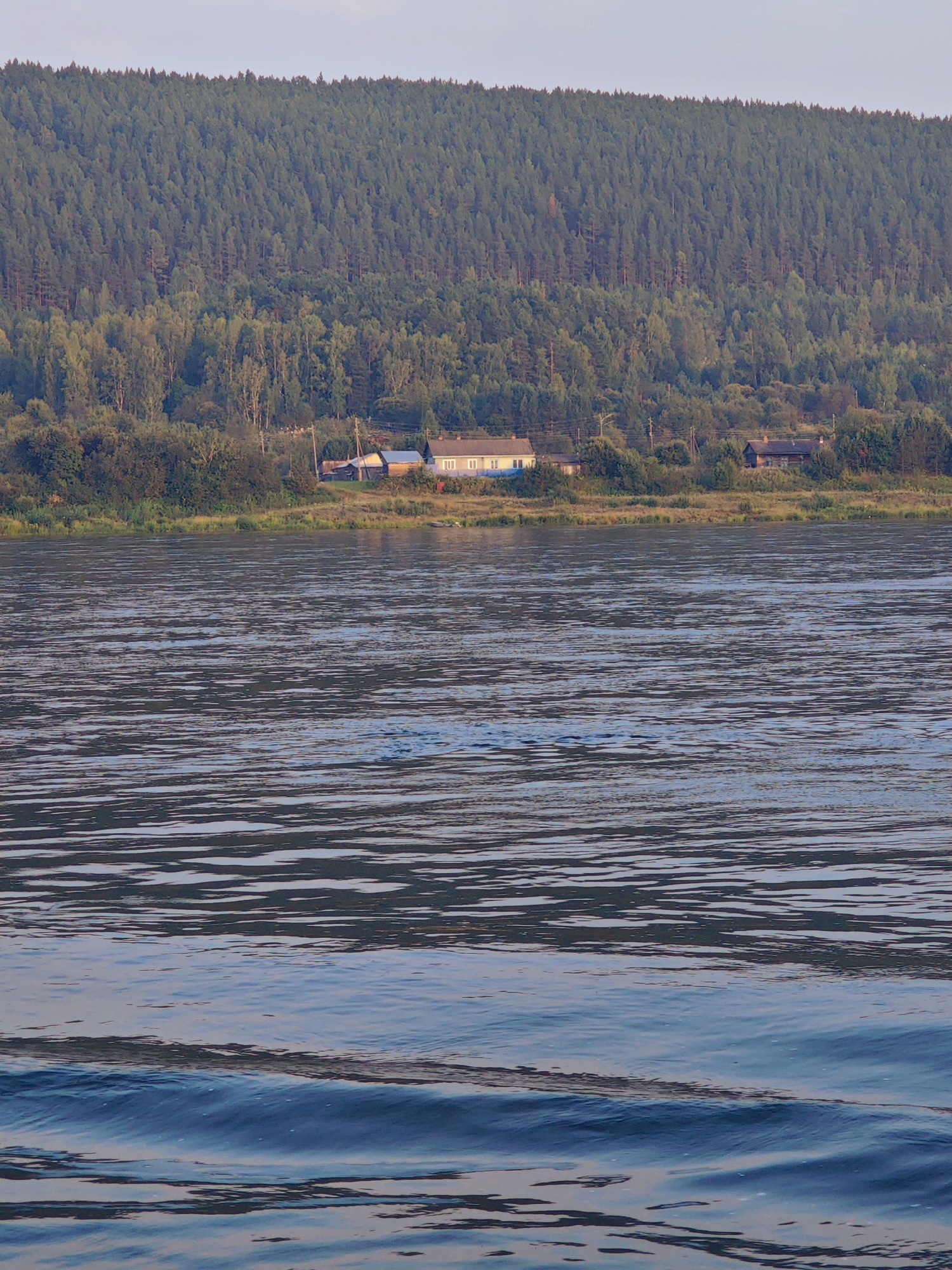 The image depicts a wide, calm river flowing in the foreground, with gentle ripples disturbing its surface. On the opposite bank, a dense forest blankets a sloping hill that rises to meet a pale, clear sky. Several houses and structures are visible nestled among the trees and vegetation along the river's edge, suggesting a small settlement. The overall scene conveys a sense of tranquility and natural beauty. The location is identified as Predivinsk, Russia.