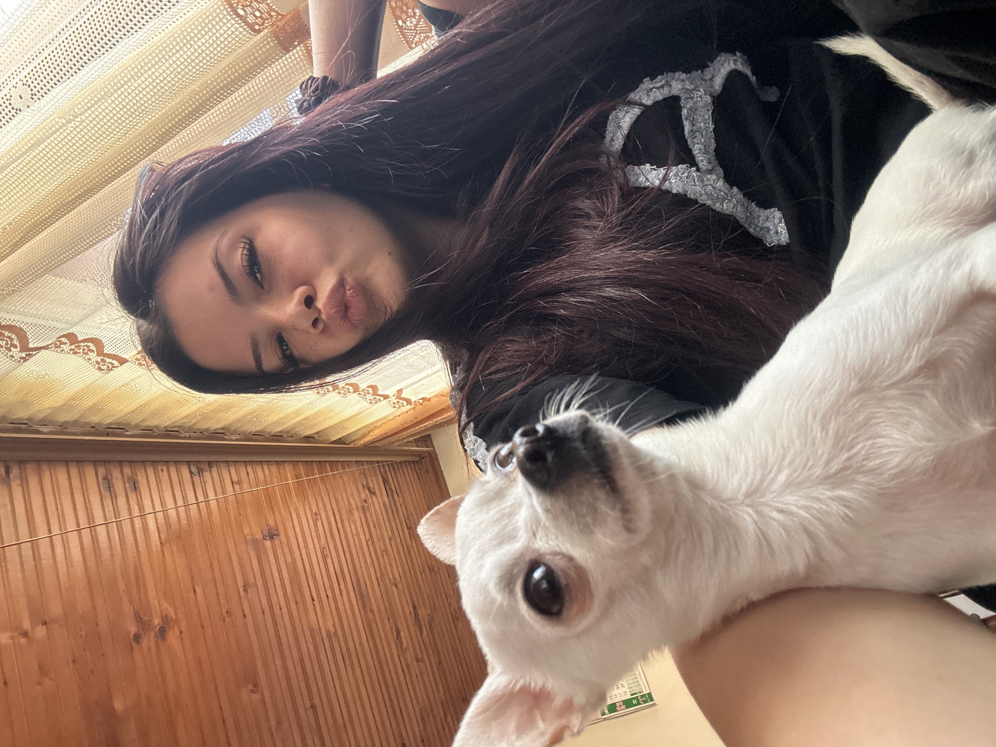 A young woman with long dark hair is posing for a selfie with a white Chihuahua. The woman is wearing a black t-shirt with a light grey design. She is pursing her lips slightly. The dog is looking upwards, with one ear visible. The background includes a wooden wall and a patterned ceiling. The location is possibly Chubra, Bulgaria.