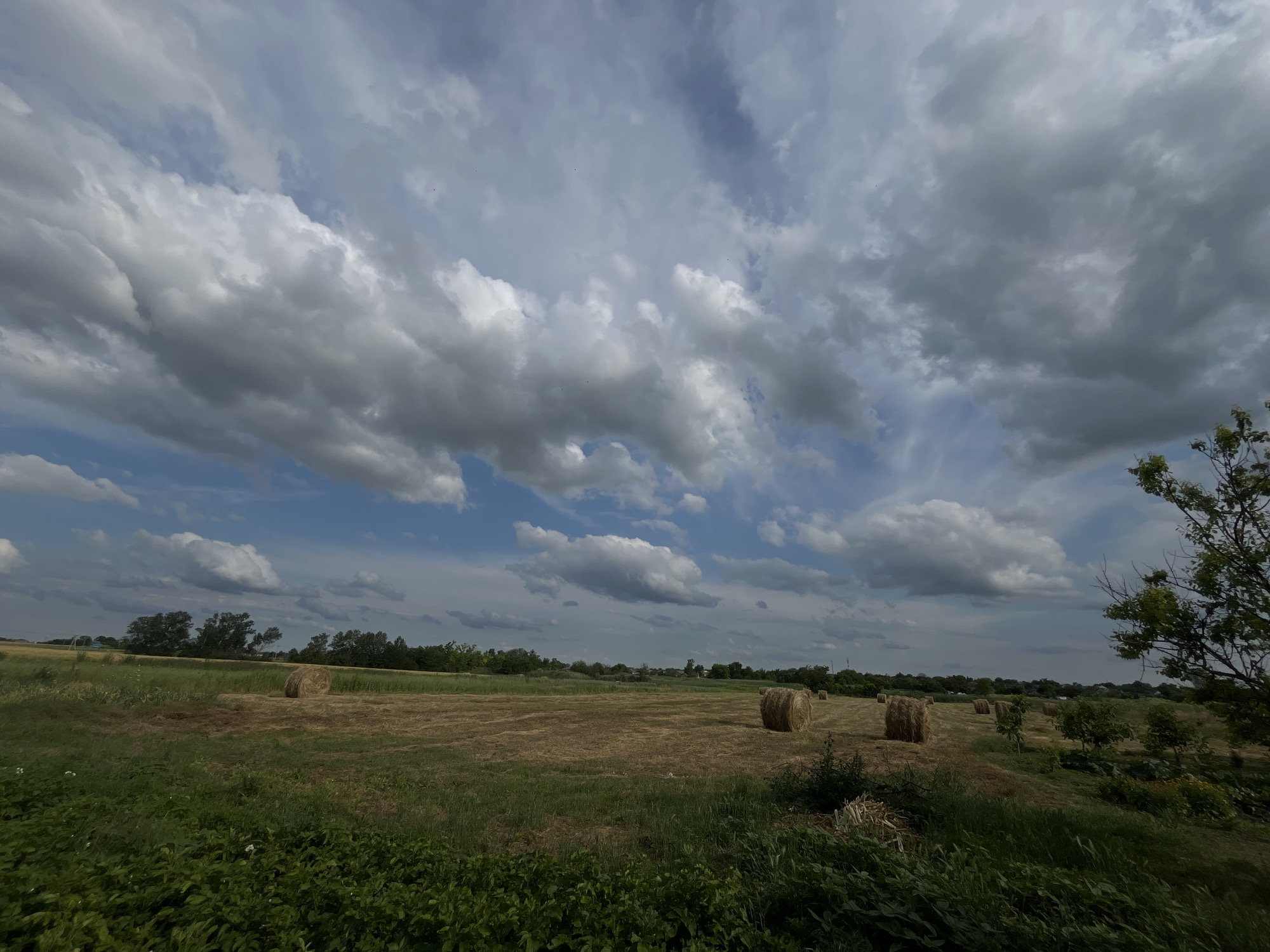 This is a wide-angle, eye-level shot of a rural landscape in Novopokrovskaya, Russia, under a partly cloudy sky. The scene depicts a harvested hayfield dotted with numerous round hay bales. In the foreground, there is lush green grass and some vegetation. The middle ground shows the dry, golden stubble of the field and the scattered hay bales, with a line of trees in the distance. The background features more trees and a hint of distant buildings, suggesting a rural settlement. The sky is dramatic with a mix of white, fluffy cumulus clouds and darker, more ominous storm clouds, with patches of blue sky visible in between. This suggests a dynamic weather pattern, possibly a transitioning storm or the aftermath of one. The lighting indicates it is daytime, likely late afternoon or early evening, given the subdued light and the slightly dramatic cloud formations. There are no people or animals visible, and no text is present in the image. The overall mood is one of rural tranquility, perhaps with a hint of impending weather.