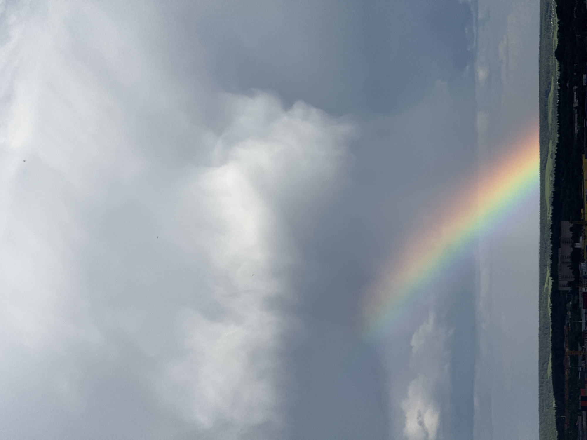 The image depicts a rainbow arching across the sky over a landscape in Poliudovo, Russia. The left side of the image is dominated by gray clouds, while the rainbow is positioned toward the right, its colors distinct against the lighter sky. Below the rainbow is a band of green trees and glimpses of buildings and structures, suggesting an urban or suburban area.