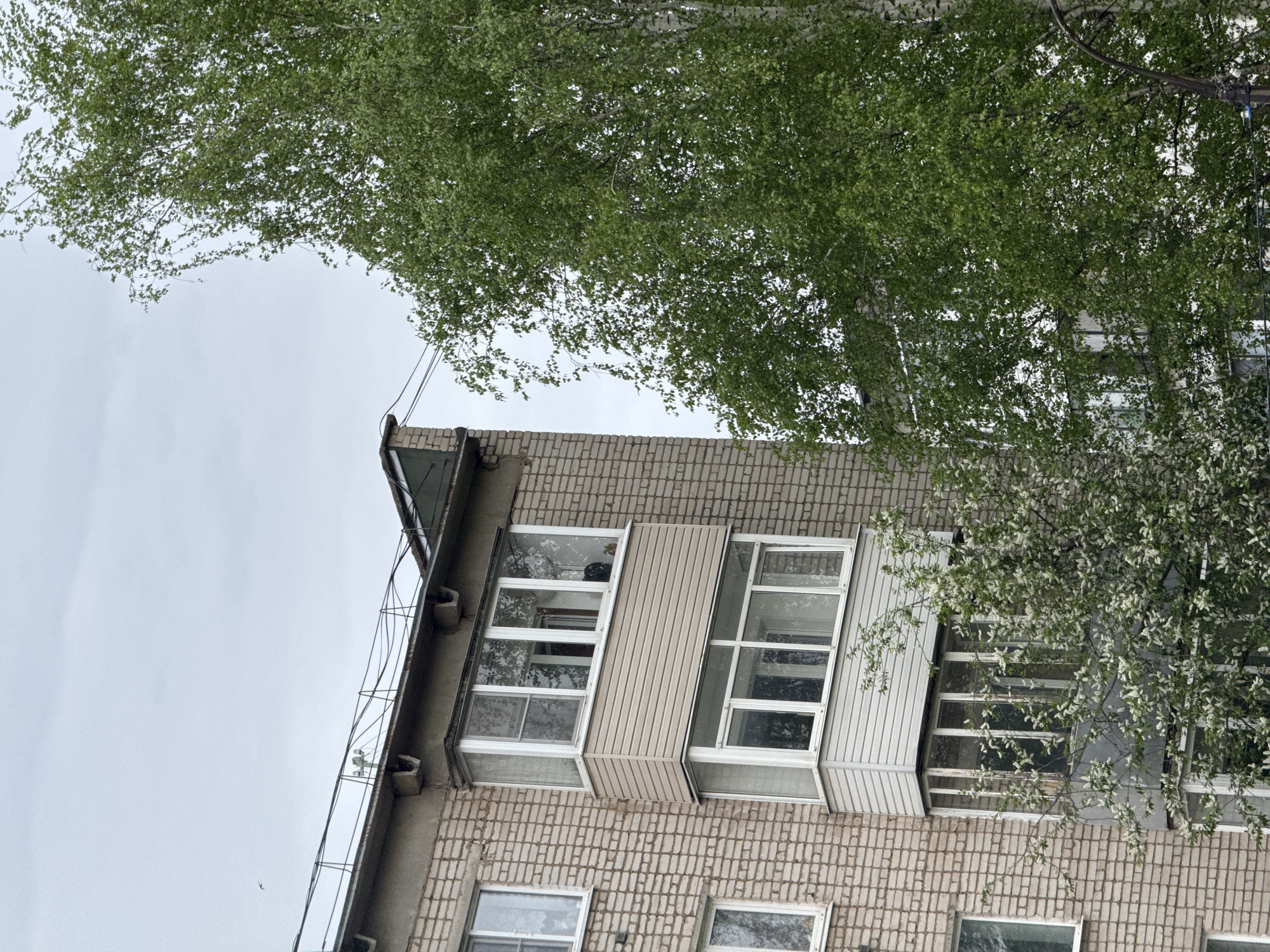 The image shows the corner of a brick building, possibly an apartment complex or office building. The building features rectangular windows with white frames. The sky is overcast and gray. In the foreground, there are tree branches with green leaves, partially obscuring the building. The location is Unknown, Unknown.