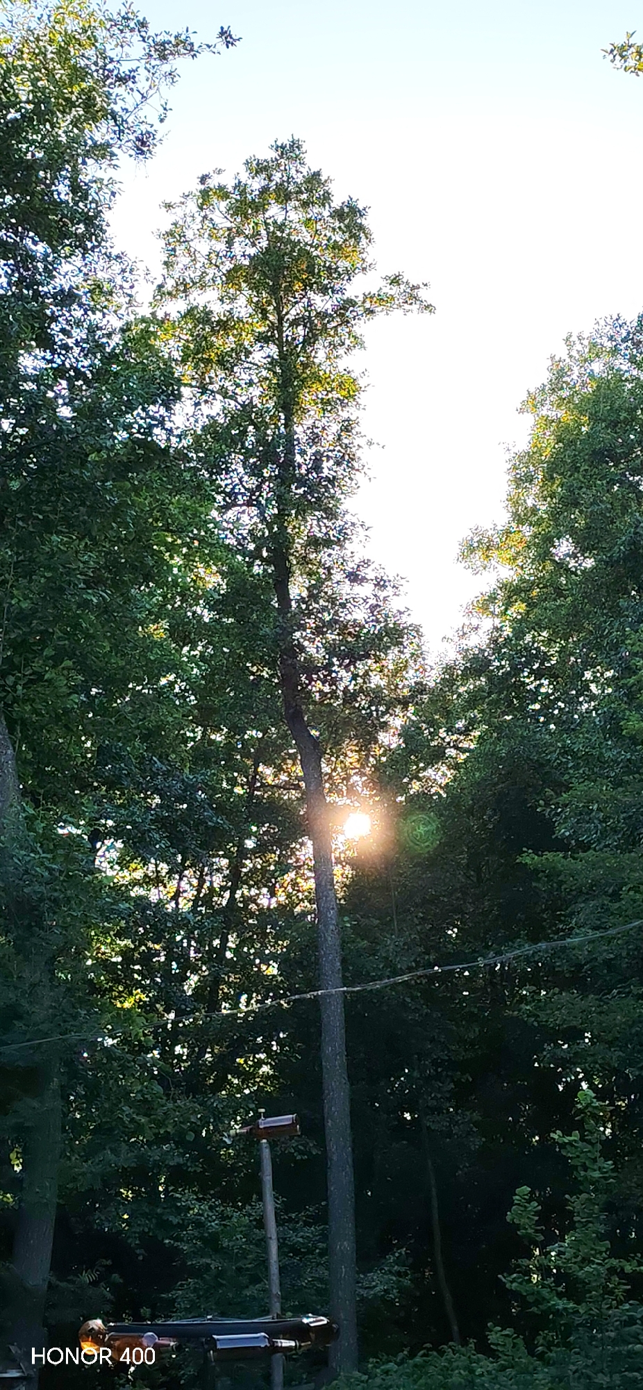 The image depicts a view looking upwards through a dense forest canopy. The sun is shining brightly, partially obscured by the leaves, creating lens flares and a bright halo effect. The trees are lush and green, indicating a temperate climate. In the lower part of the frame, there are some man-made structures, including a wooden post with what appear to be bottles attached to it, and a horizontal structure with more bottles. The text "HONOR 400" is visible in the bottom left corner, suggesting the image was taken with a mobile device. There are no people or animals visible in the scene. The scene appears to be outdoors, in a natural setting, possibly a park or wooded area within or on the outskirts of the city of Noviy, Russia.