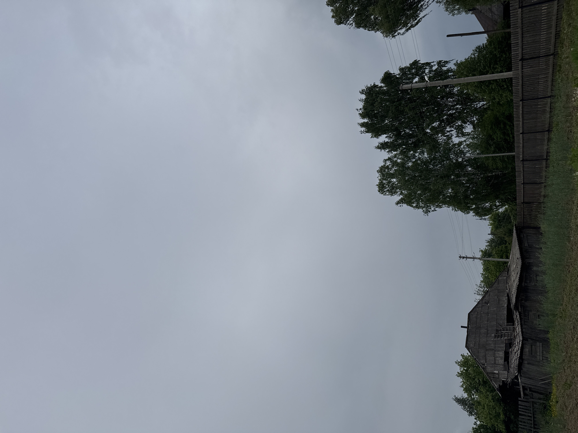 The image captures a static, rural scene under a heavily overcast, grey sky that dominates the upper two-thirds of the frame. A dense line of green trees runs across the right side of the image, partially obscuring the view. Along the bottom, a rustic, weathered wooden fence separates the foreground from what appears to be a property line.
Interspersed among the trees and along the fence are several utility poles carrying power lines. A small, white bird is perched distinctly on one of these poles. In the bottom right corner, an old, dilapidated wooden house or barn with a dark, corrugated roof is visible, showing signs of age and wear. Further along the fence line to the left, another section of a similar weathered building can be seen. Green grass and vegetation grow along the fence and around the structures.
The uniformly grey sky suggests a cloudy day, possibly indicating impending rain or a recently passed shower, creating diffused lighting across the scene. There is no visible human activity. The overall impression is one of quietude in a traditional village or countryside setting in Borodulino, Russia. No visible text is present.