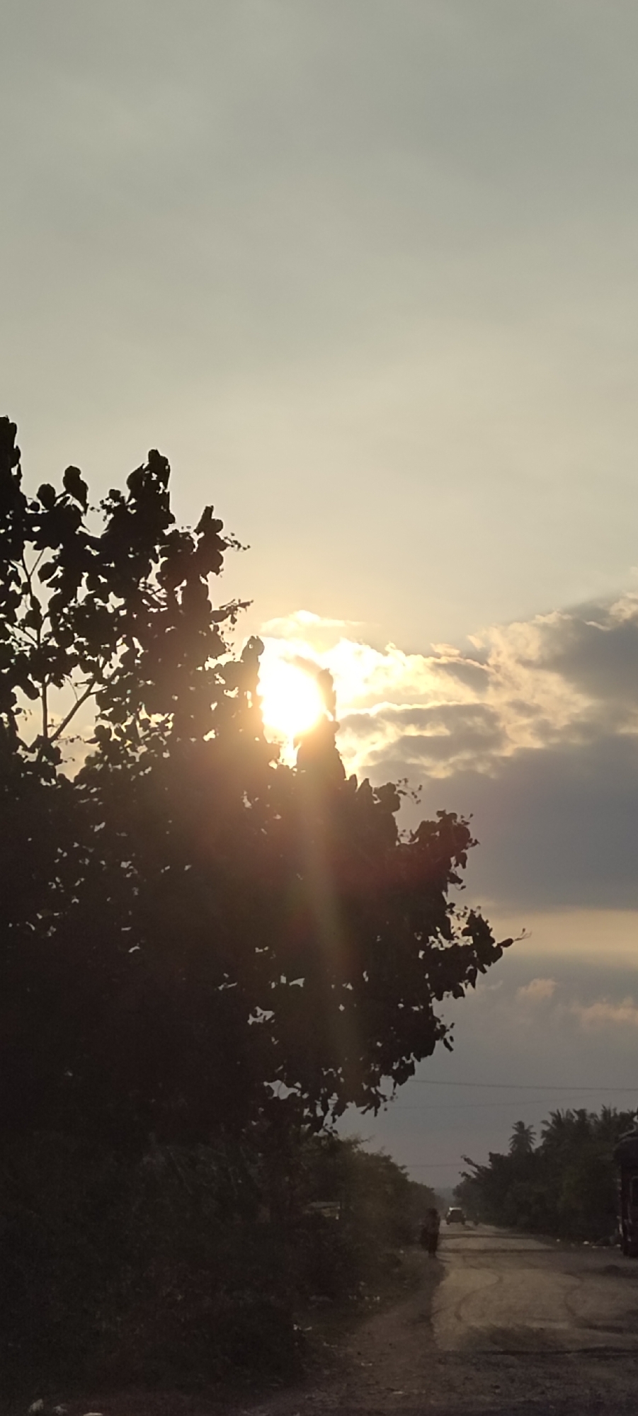 The image captures a rural scene at dusk, likely in Meunasahmee, Indonesia. A silhouetted tree with dense foliage dominates the left side of the frame, with the setting sun partially obscured behind its branches and a few scattered clouds. The sun casts bright rays through the leaves, creating a lens flare effect. A dirt road or path stretches into the distance, flanked by vegetation on either side, including palm trees visible in the background. The sky is a pale, overcast hue. A lone person is walking away from the camera on the road. Further down the road, two vehicles are faintly visible, one appearing to be a car and another object that could be a truck. The overall atmosphere is serene and suggests a quiet evening in a rural area.