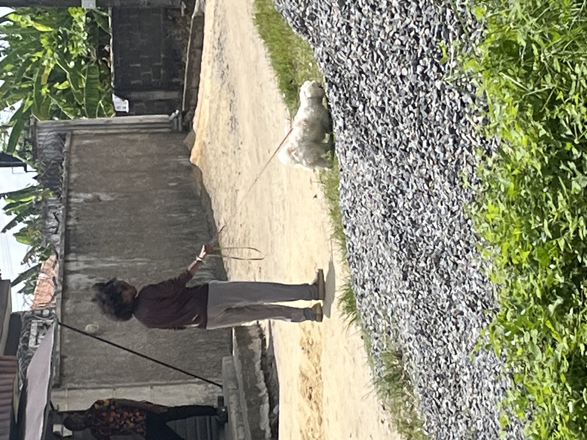 A man walks a small, white dog on a leash along a dirt path. The path is bordered by a wall on one side and a pile of gray gravel and green vegetation on the other. The location is Iranla, Nigeria. The man wears a brown shirt, gray pants, and brown shoes.