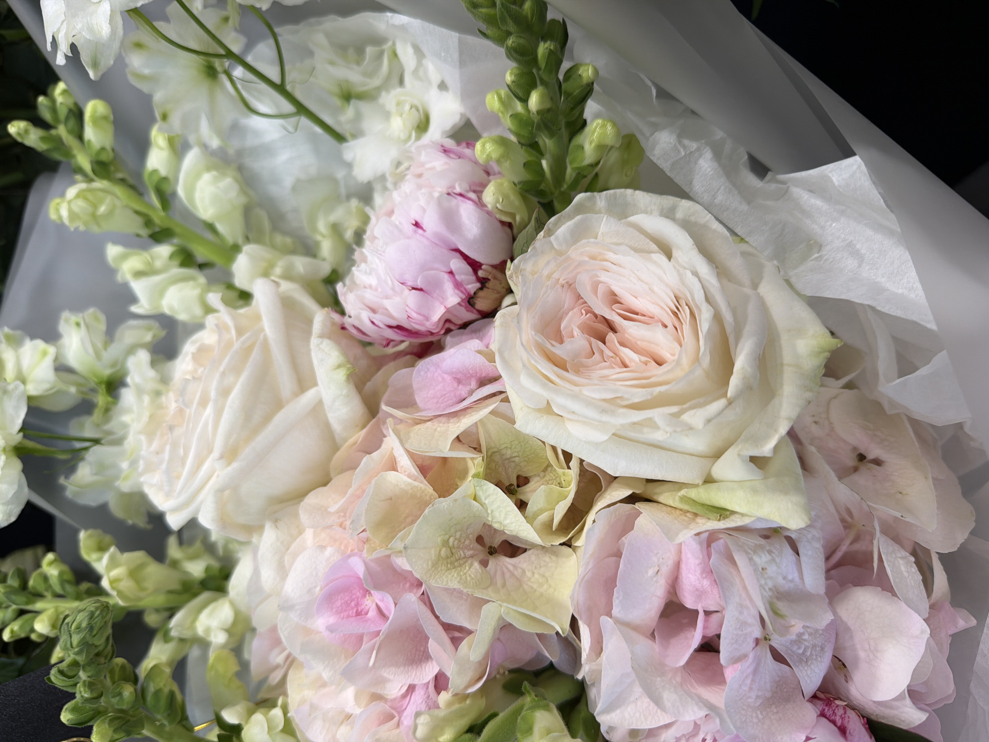 A close-up, eye-level shot captures a bouquet of flowers, predominantly in shades of white, cream, and soft pink, arranged and wrapped in white paper. The flowers appear lush and in full bloom, with several roses and hydrangeas being the most prominent. Green stems and buds are visible throughout, adding a contrasting color and texture. The lighting is soft, highlighting the delicate details and textures of the petals and foliage. The background is a dark, out-of-focus blur, which further emphasizes the bouquet as the central subject.