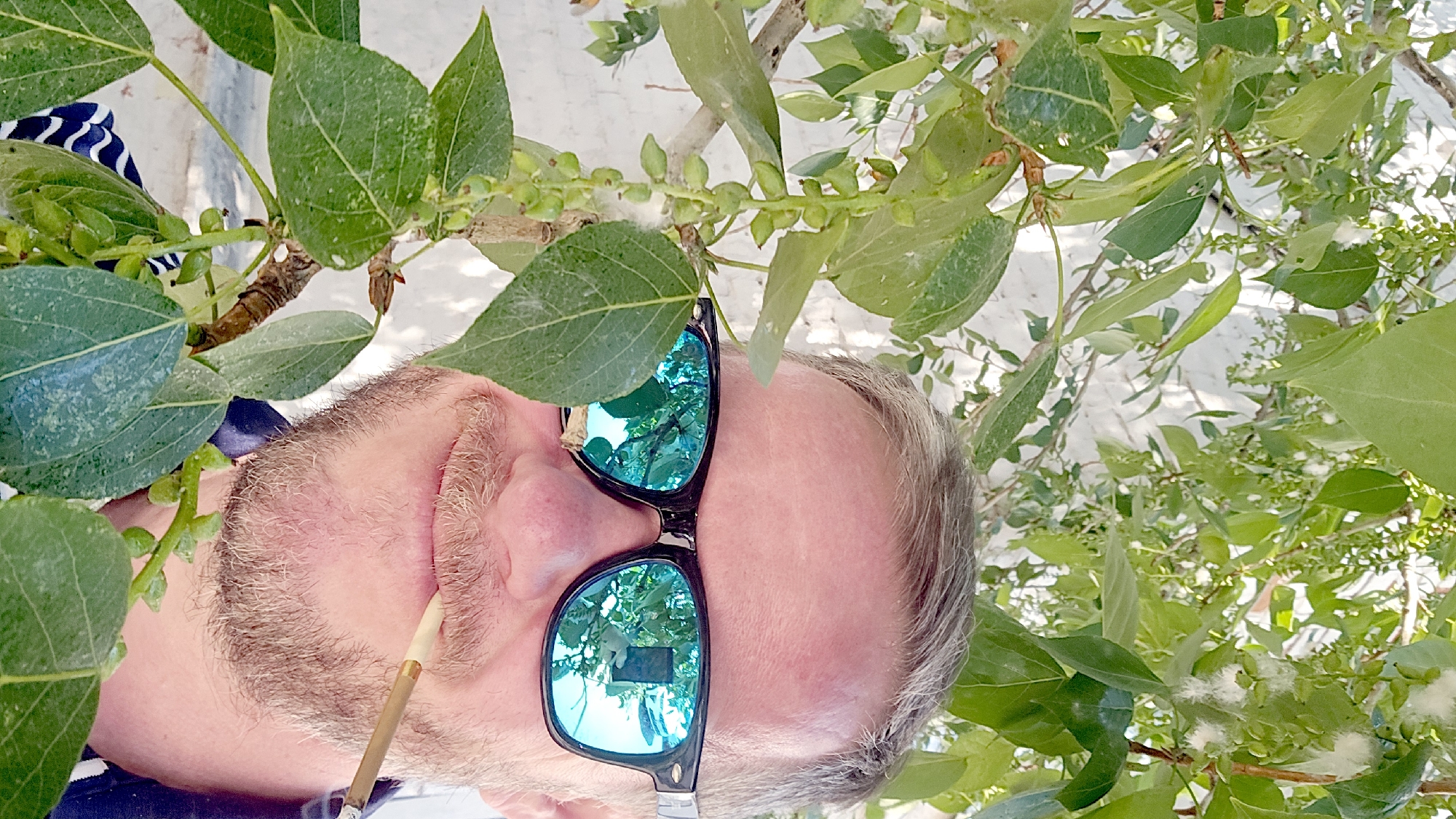 A man with grey hair and a beard is lying on his back outdoors, wearing sunglasses that reflect the surrounding vegetation. He has a cigarette in his mouth. The man is surrounded by lush green foliage, possibly the branches of a tree or bush. The location is Moscow, Russia.