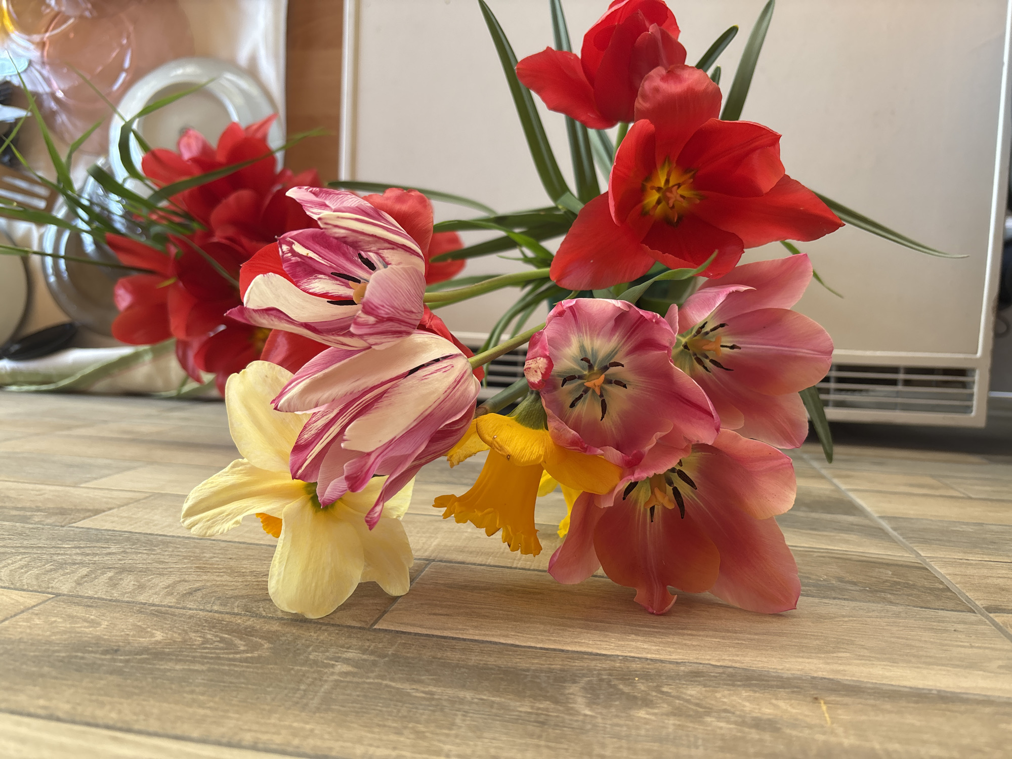 A bouquet of spring flowers, including red tulips, pink tulips, a pink and white striped tulip, and yellow daffodils, is lying on a wood-look tiled floor. The flowers appear to be recently arranged. In the background, there are blurred objects: possibly plates, a white cabinet or wall, and indistinct items within the room. The specific location in Zlatograd, Bulgaria, cannot be determined from the image alone.