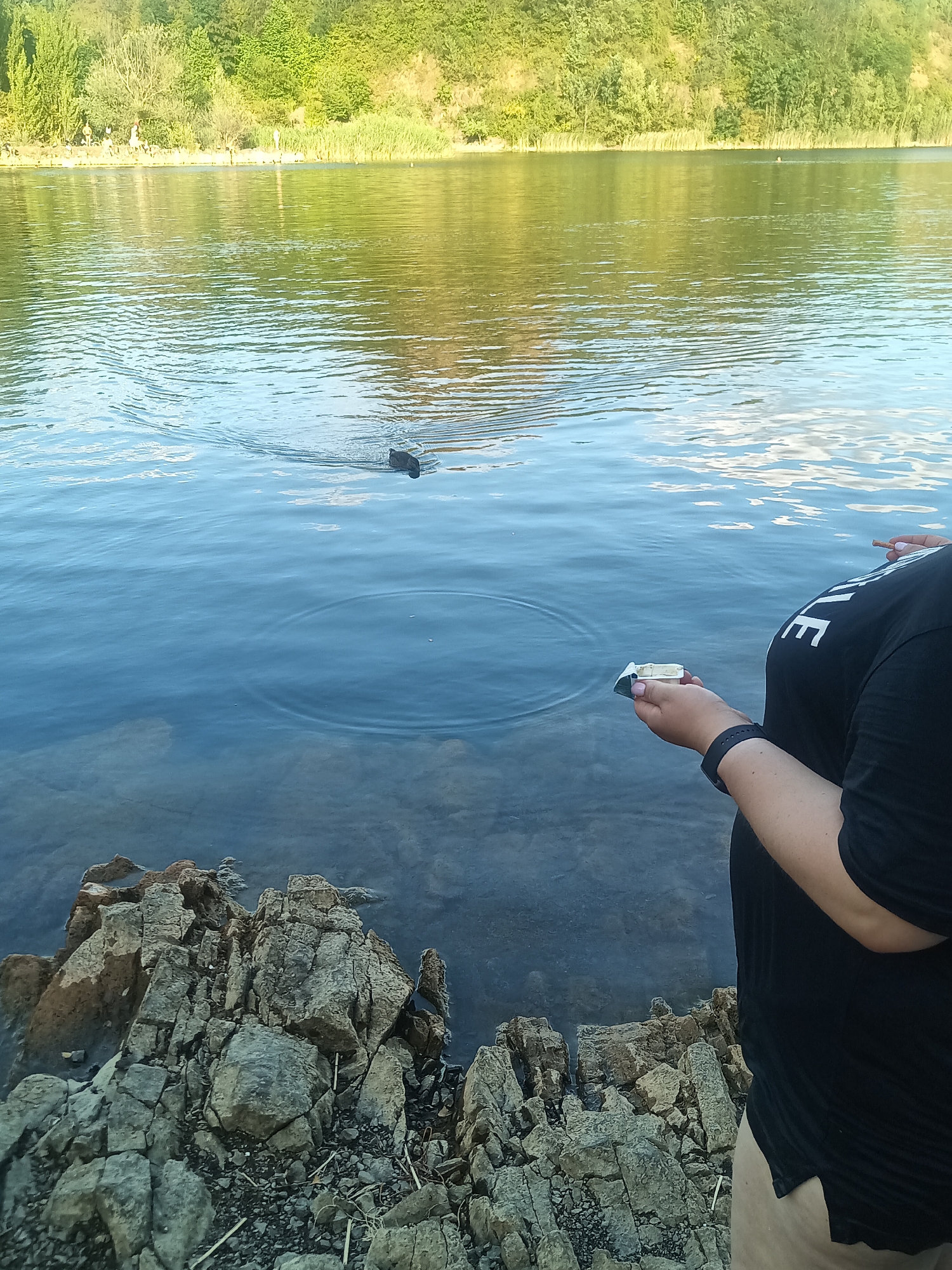 The image depicts a person holding a small white object over a body of water. The person is wearing a black t-shirt with white lettering and a black wristwatch. The water appears to be a lake or river, with rocky terrain visible along the shore in the foreground. In the background, a tree-covered hillside and a line of reeds are visible. There are ripples in the water, suggesting movement or disturbance. A dark object, possibly a duck or a floating piece of debris, is visible in the water in the middle ground, with concentric ripples emanating from it. The lighting suggests it is daytime, with sunlight reflecting off the water. The location is not explicitly Uzhhorod, Ukraine.