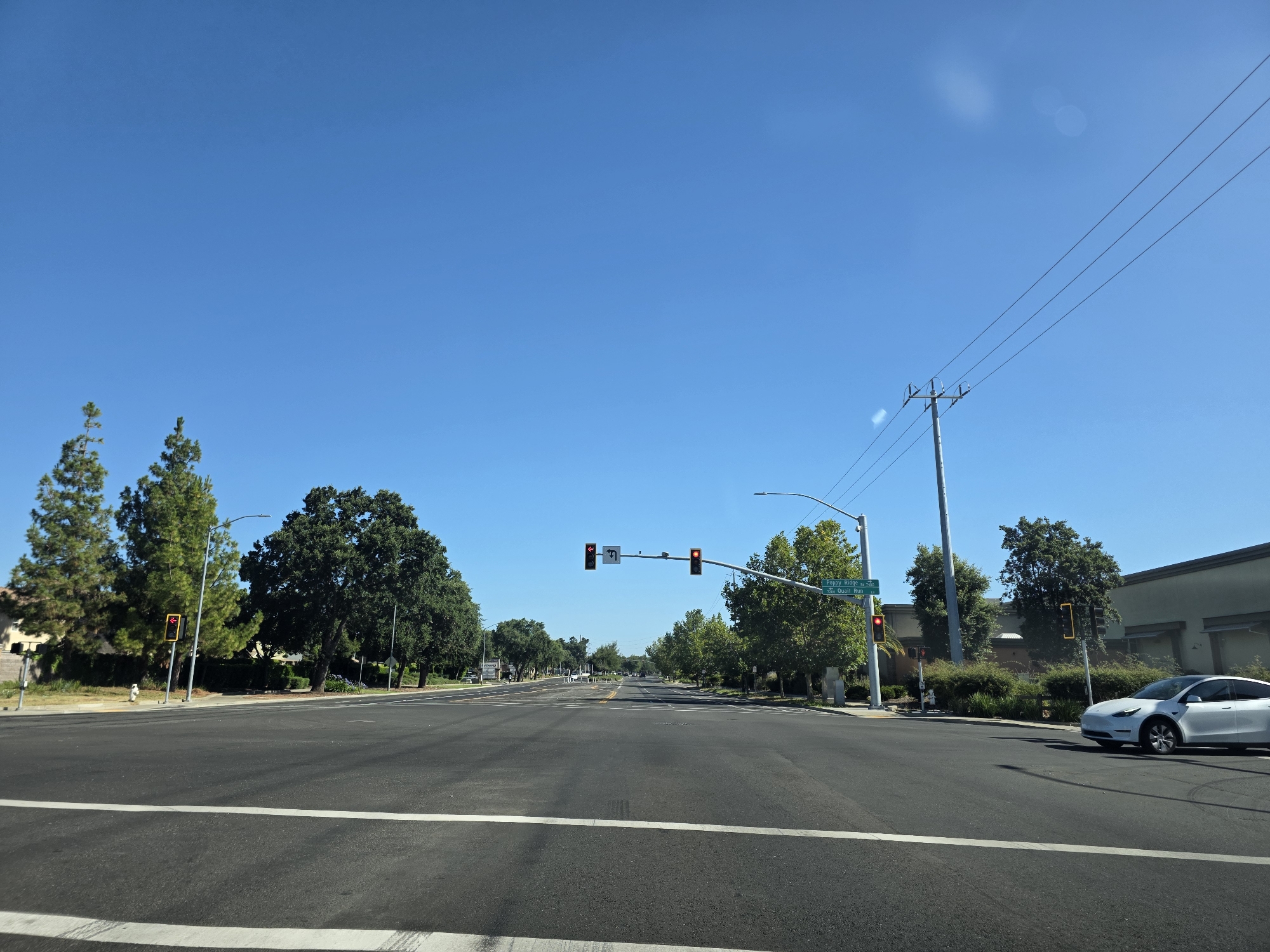 This media file captures a street scene in Elk Grove, USA, on a clear, sunny day, likely mid-morning or early afternoon given the bright sunlight and long shadows. The perspective is from a vehicle traveling on a paved road, looking forward at an intersection.
The primary subjects are the road, traffic signals, street signs, trees, and a white electric car. The road has clear lane markings and is in good condition. Several traffic signals are visible, with one showing a red light and a left-turn arrow, indicating a stop or a turn is being controlled. Another signal to the right also shows a red light. A street sign displays "Poppy Ridge" and "Quail Run," providing location context.
Lush green trees line the sides of the road, contributing to a suburban or park-like atmosphere. On the right, a modern building with a light-colored facade is visible. A white electric car, possibly a Tesla, is turning right at the intersection.
The scene appears calm and ordinary, with no people prominently visible. The weather is fair and the sky is a vibrant, cloudless blue. The overall impression is one of a typical day in a well-maintained suburban environment. The activity is the controlled movement of traffic through an intersection.