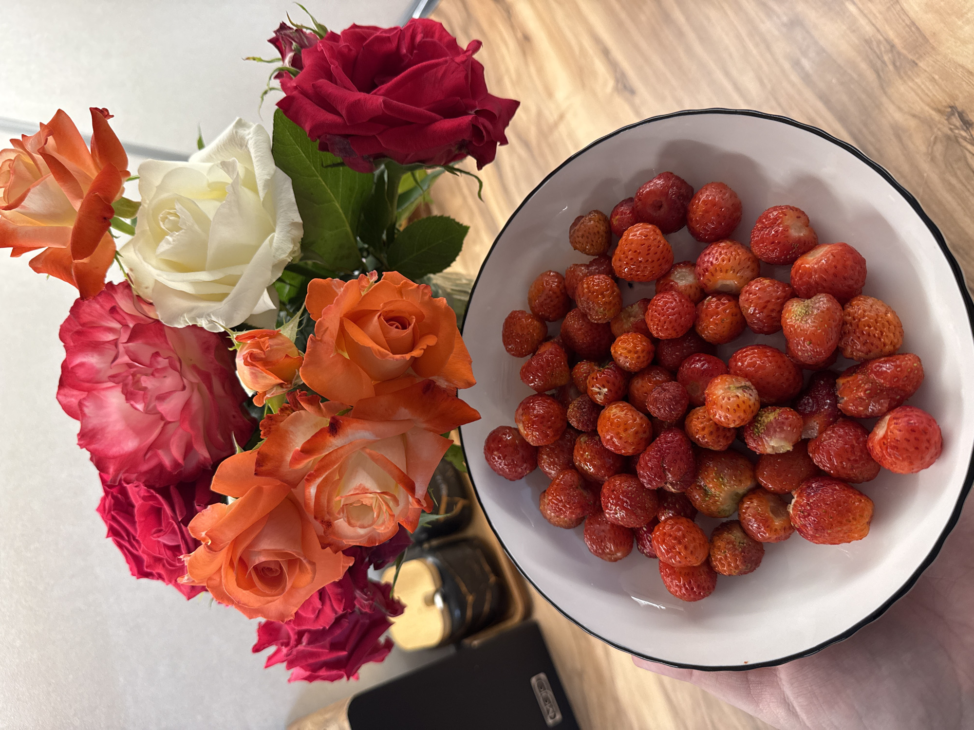 In Mikhaylovsk, Russia, a person's hand holds a white bowl filled with small, ripe strawberries. The bowl has a black rim and sits on a wooden table. In the background, a bouquet of roses in various shades of red, orange, and white is arranged in a vase. Some dark containers are also visible behind the flowers. The lighting suggests an indoor setting, possibly a home or kitchen.