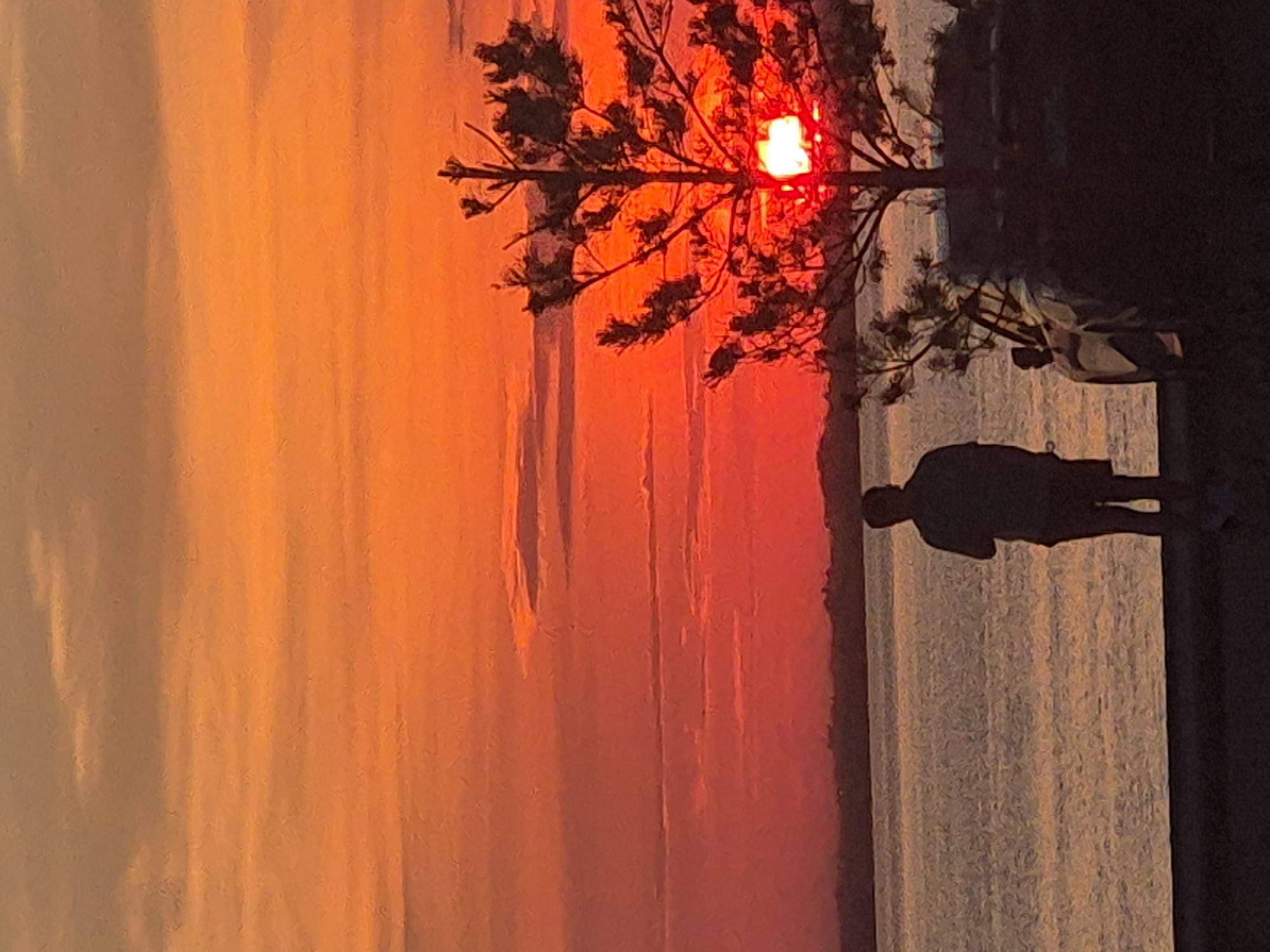 The image depicts a scenic sunset over a body of water, likely Lake Borovoe, in Kokshetau, Kazakhstan. The sky is a vibrant display of oranges and reds, with distinct cloud formations. In the foreground, silhouetted against the colorful sky, stands a person on the shore, facing away from the camera. To the right, a silhouette of a tree with sparse branches frames the setting sun, which is partially obscured by the foliage, casting a bright glow. The water appears calm, reflecting the warm hues of the sunset. The overall atmosphere is tranquil and serene, characteristic of a lakeside sunset.