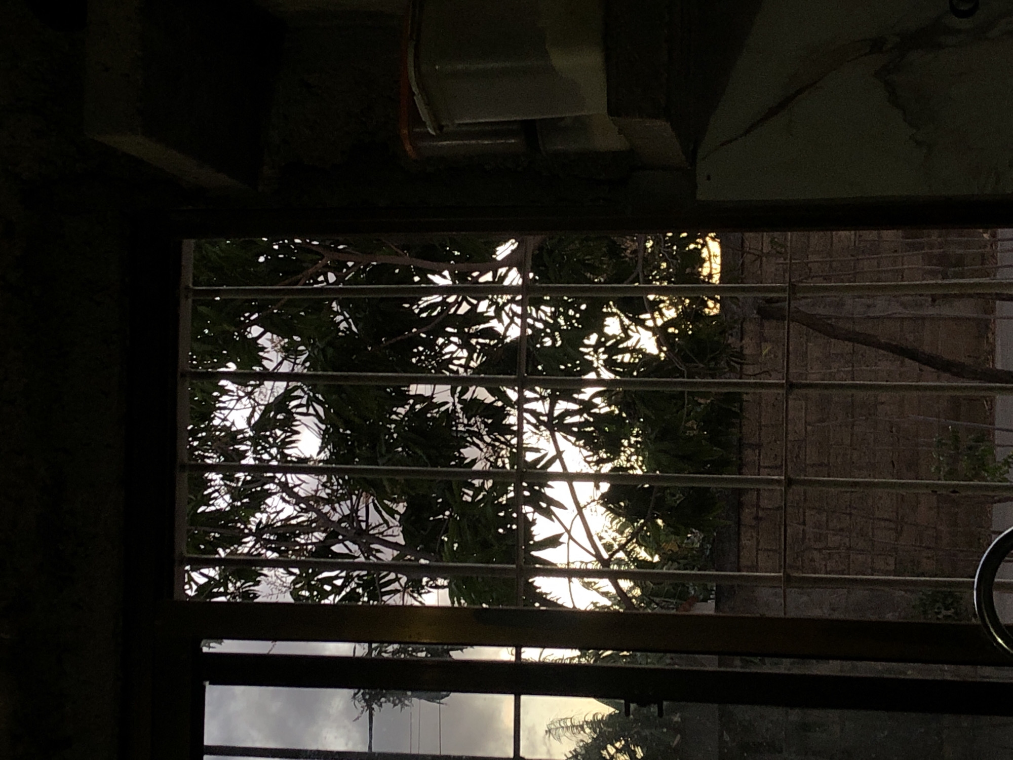 The image depicts an interior perspective looking out through a security-barred window from within a darkened structure, located in Altagracia, Venezuela. The external scene is illuminated by the low angle of the sun, indicative of either dawn or dusk.
The interior foreground is in deep shadow. To the right, a rough-textured wall exhibits a concrete shelf supporting two stacked, translucent plastic containers with orange lids. A distinct vertical crack extends down the wall below the shelf. A dark, curved object is partially visible in the lower-left corner.
The window opening is secured by a light-colored metal grille composed of multiple vertical and horizontal bars. Beyond this grille, a dense canopy of dark green tree foliage is silhouetted against a bright, hazy sky, obscuring the sun itself. Below the tree canopy, a low wall constructed of light-colored, possibly concrete, blocks is discernible. A narrow strip of ground or roadway is visible at the very bottom of the external view, immediately beyond the wall. No human figures or active interactions are present within the frame.